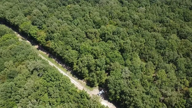 Improved Land For Sale in Red River (TX) County , 113 Triple Creek, Avery, Texas 75554, 0, 0, Garage spaces, 0 Sqft, built in 0, mls#21369030, Real Estate Agent in Avery, Homes For Sale in Red River (TX) county, Homes For Sale in Avery, Realtor in Avery Texas, Real Estate Brokerage Independent Realty Texas, Luminita Cordes Realtor