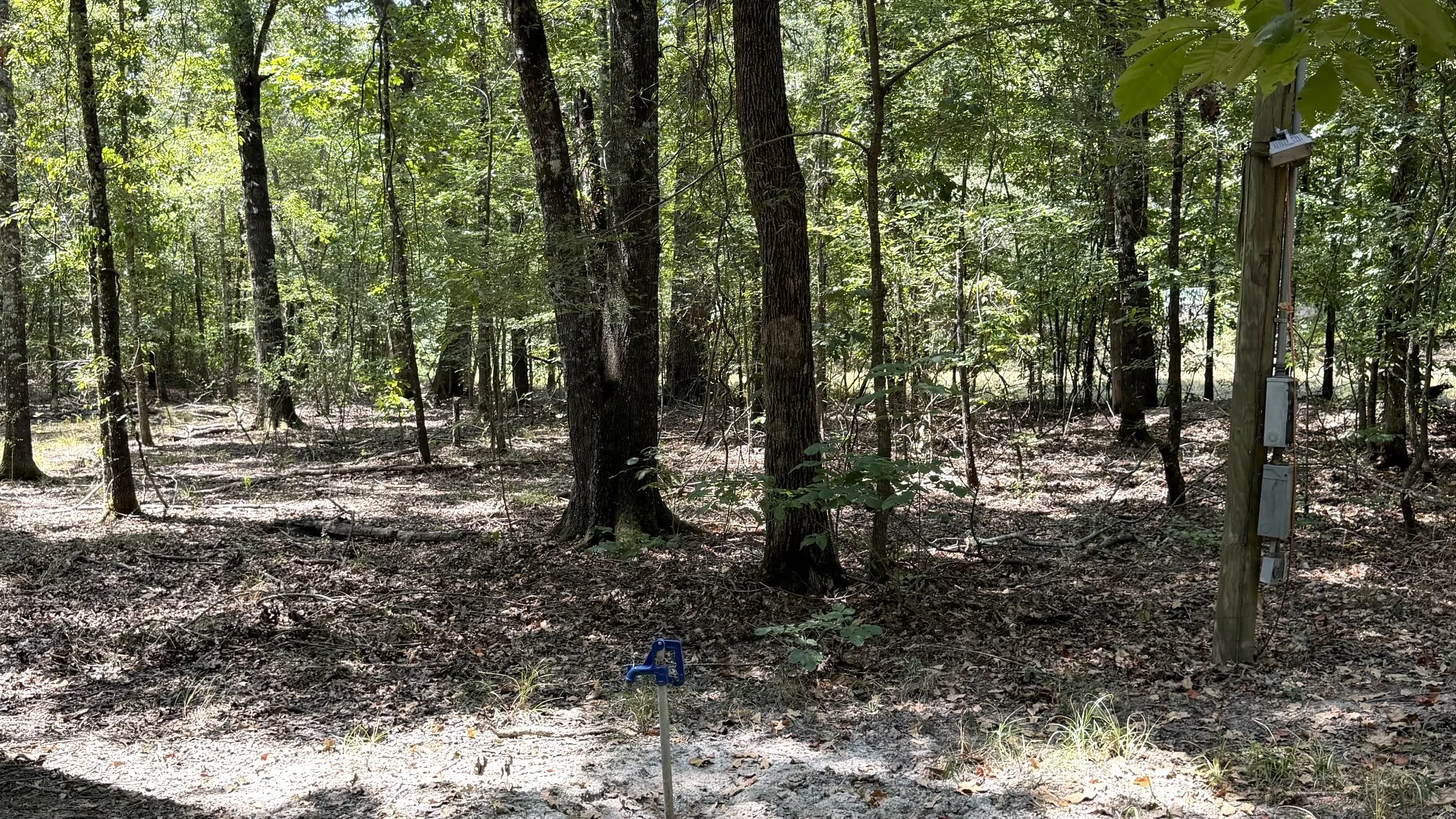 Improved Land For Sale in Red River (TX) County , 113 Triple Creek, Avery, Texas 75554, 0, 0, Garage spaces, 0 Sqft, built in 0, mls#21369030, Real Estate Agent in Avery, Homes For Sale in Red River (TX) county, Homes For Sale in Avery, Realtor in Avery Texas, Real Estate Brokerage Independent Realty Texas, Luminita Cordes Realtor