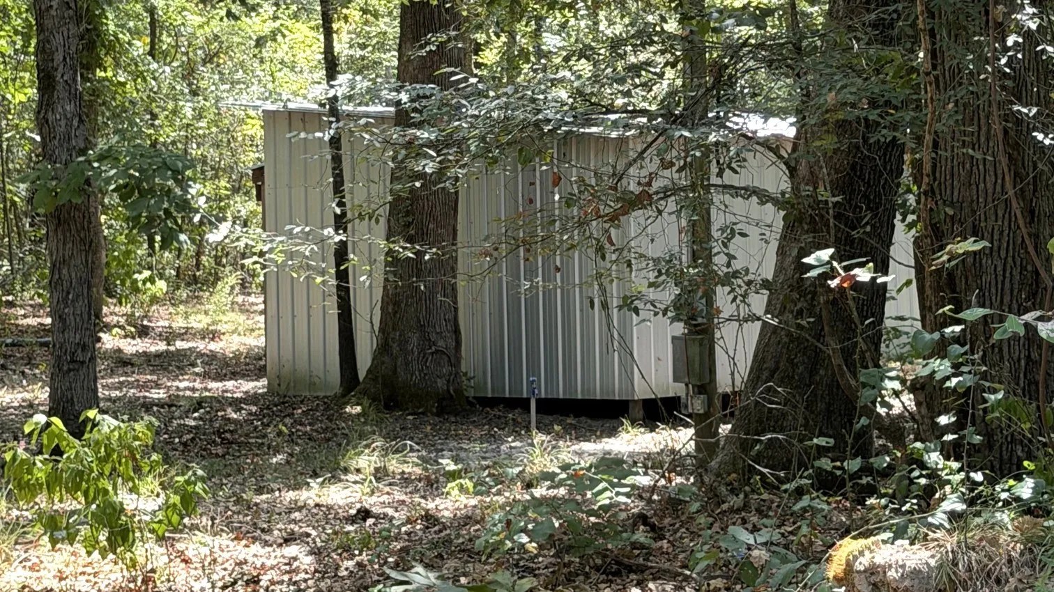 Improved Land For Sale in Red River (TX) County , 113 Triple Creek, Avery, Texas 75554, 0, 0, Garage spaces, 0 Sqft, built in 0, mls#21369030, Real Estate Agent in Avery, Homes For Sale in Red River (TX) county, Homes For Sale in Avery, Realtor in Avery Texas, Real Estate Brokerage Independent Realty Texas, Luminita Cordes Realtor