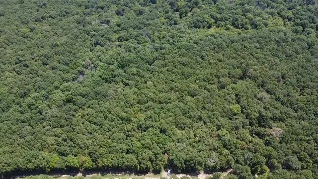 Improved Land For Sale in Red River (TX) County , 113 Triple Creek, Avery, Texas 75554, 0, 0, Garage spaces, 0 Sqft, built in 0, mls#21369030, Real Estate Agent in Avery, Homes For Sale in Red River (TX) county, Homes For Sale in Avery, Realtor in Avery Texas, Real Estate Brokerage Independent Realty Texas, Luminita Cordes Realtor
