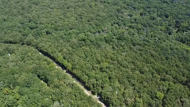 Improved Land For Sale in Red River (TX) County , 113 Triple Creek, Avery, Texas 75554, 0, 0, Garage spaces, 0 Sqft, built in 0, mls#21369030, Real Estate Agent in Avery, Homes For Sale in Red River (TX) county, Homes For Sale in Avery, Realtor in Avery Texas, Real Estate Brokerage Independent Realty Texas, Luminita Cordes Realtor