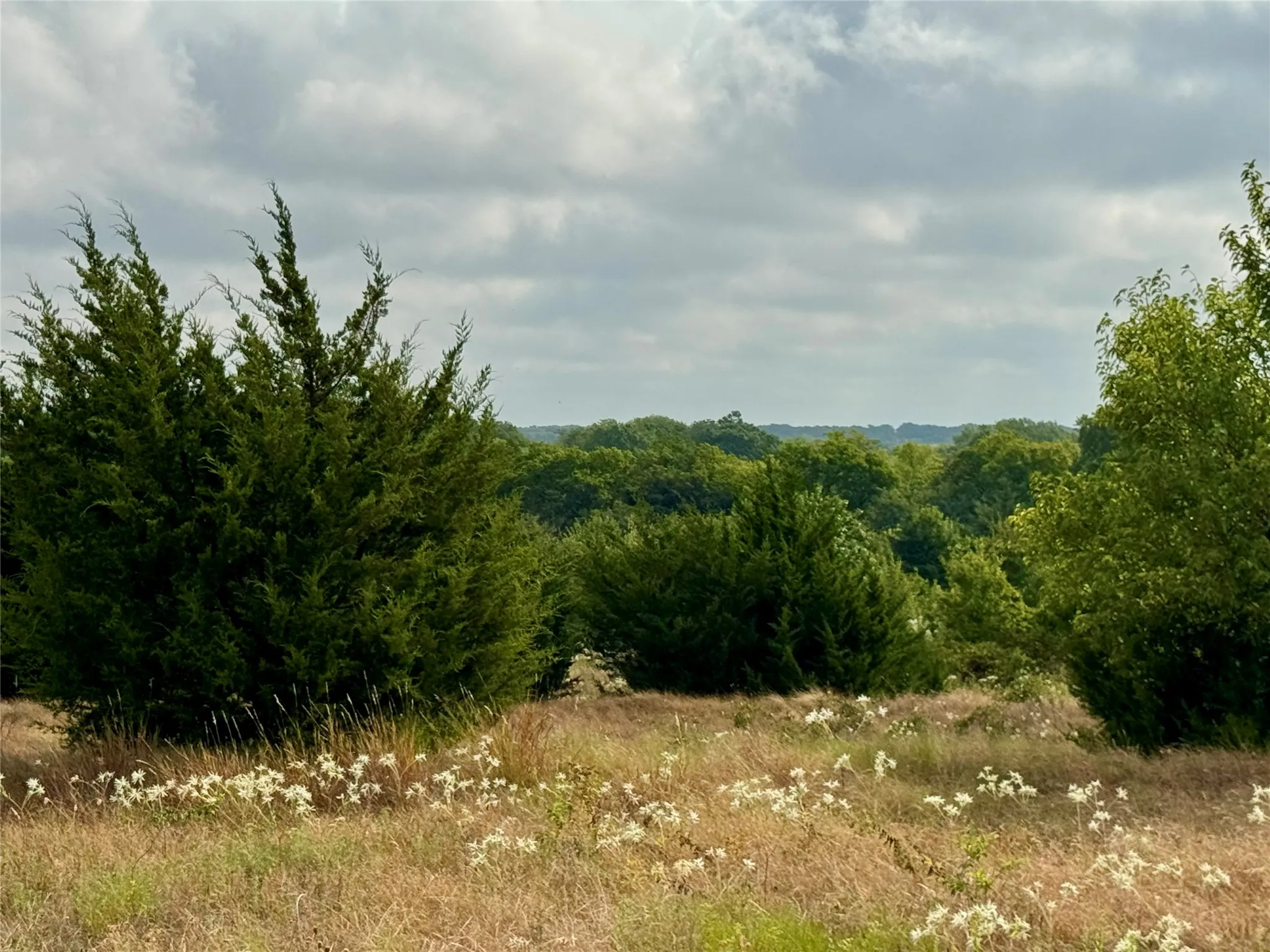 Photos taken at various locations in the neighborhood.
