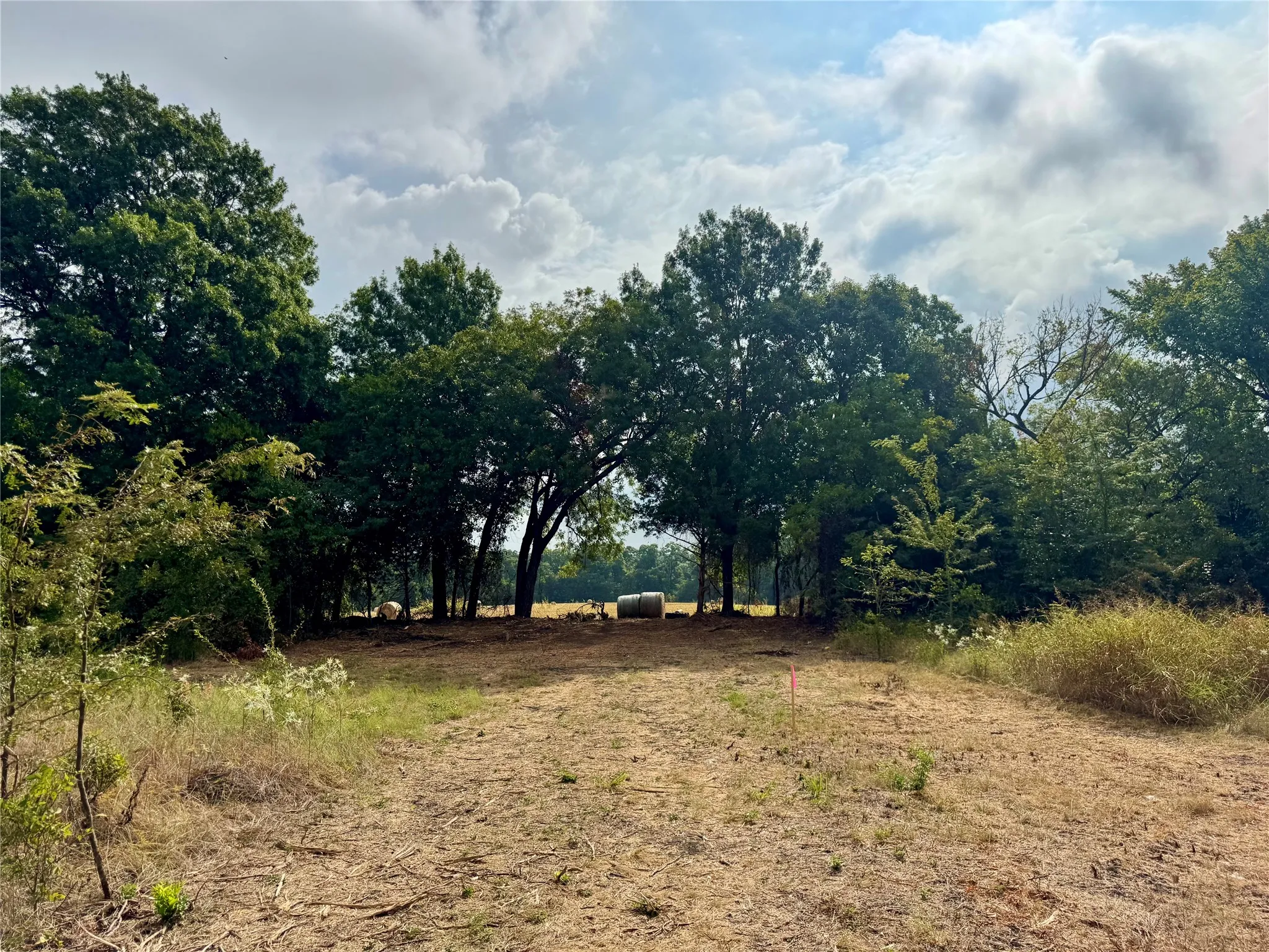 Photos taken at various locations in the neighborhood.