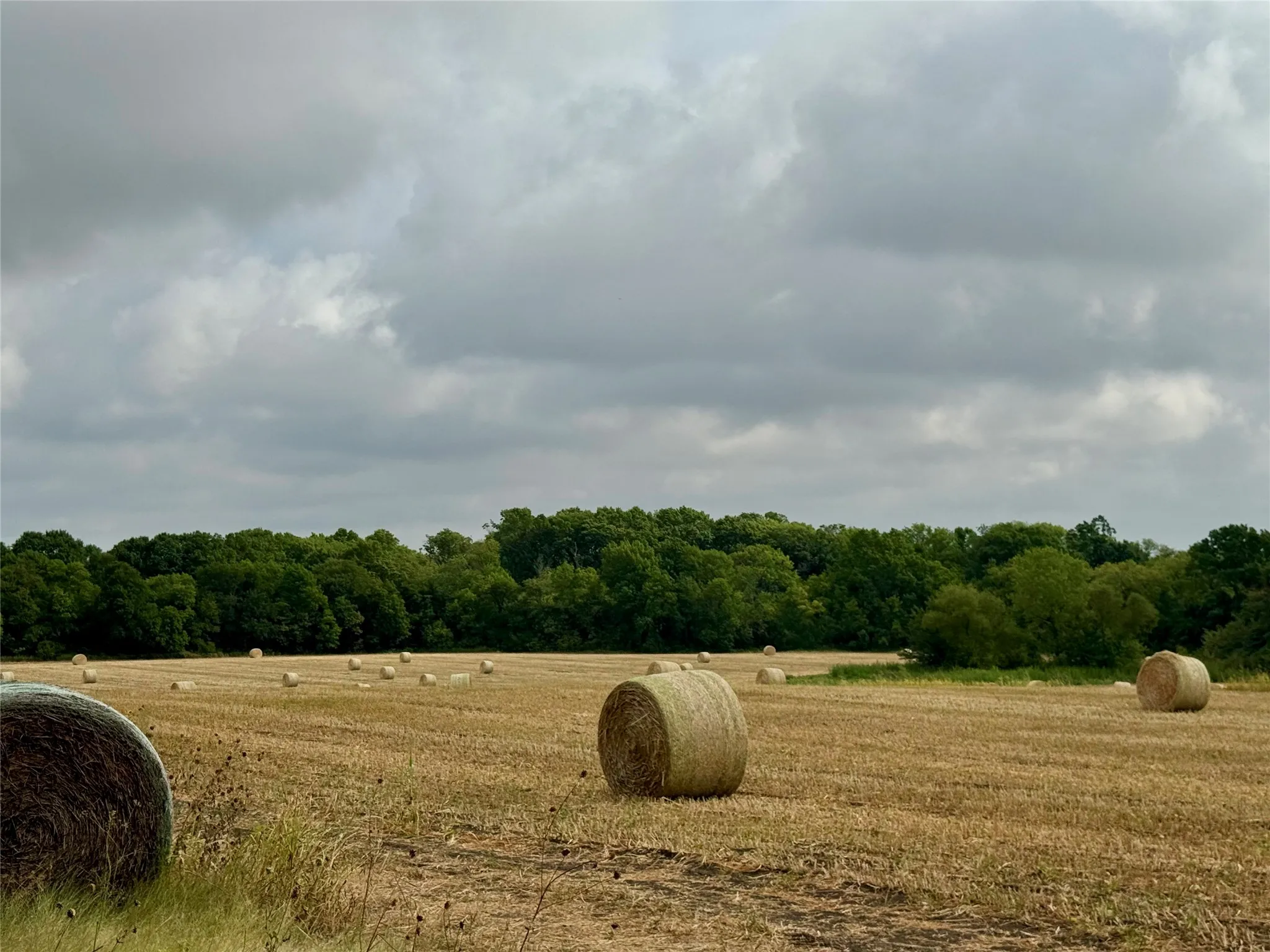 Photos taken at various locations in the neighborhood.