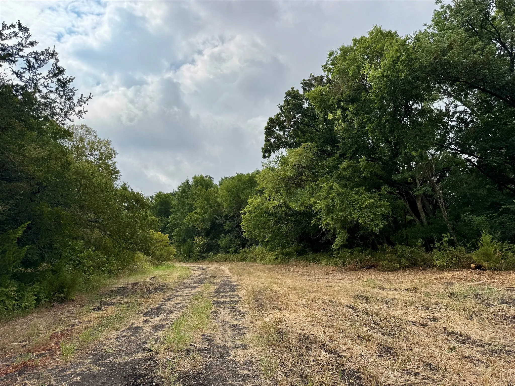 Photos taken at various locations in the neighborhood.