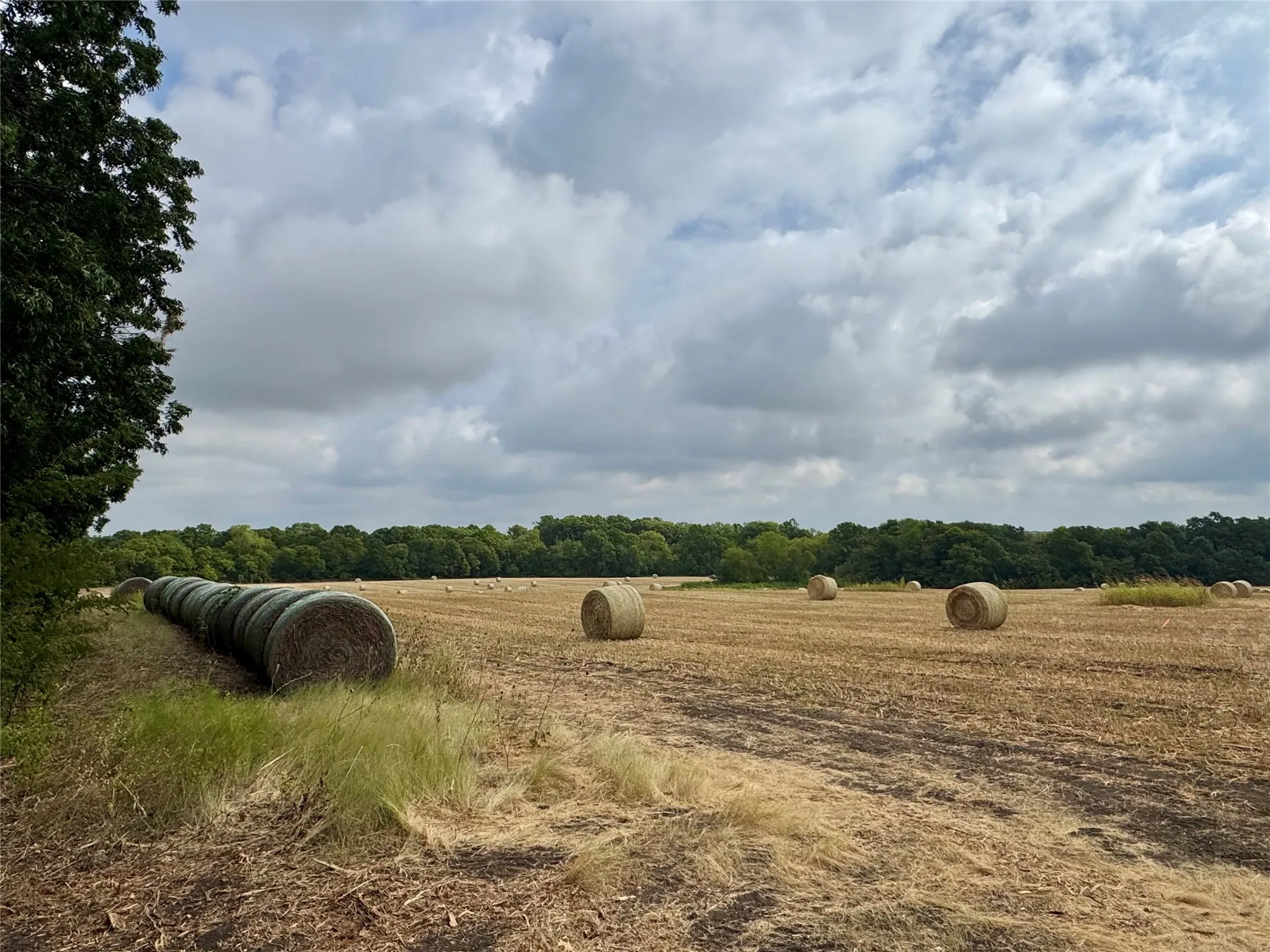 Photos taken at various locations in the neighborhood.