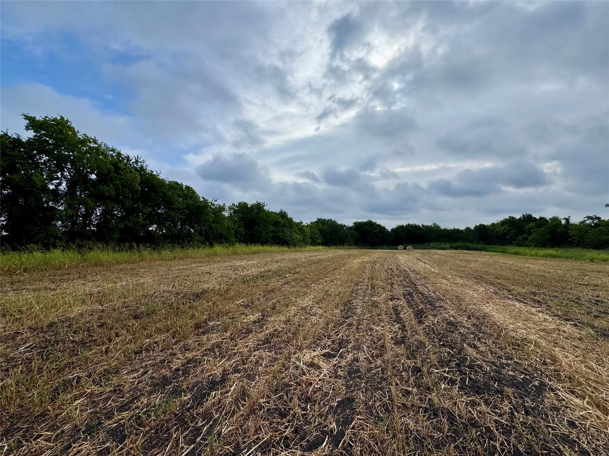 Photos taken at various locations in the neighborhood.