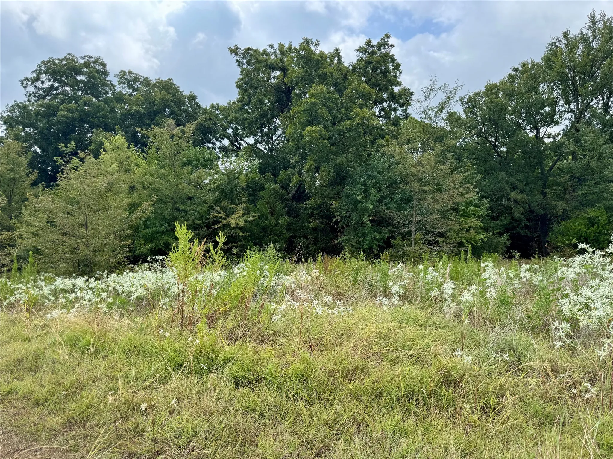 Photos taken at various locations in the neighborhood.