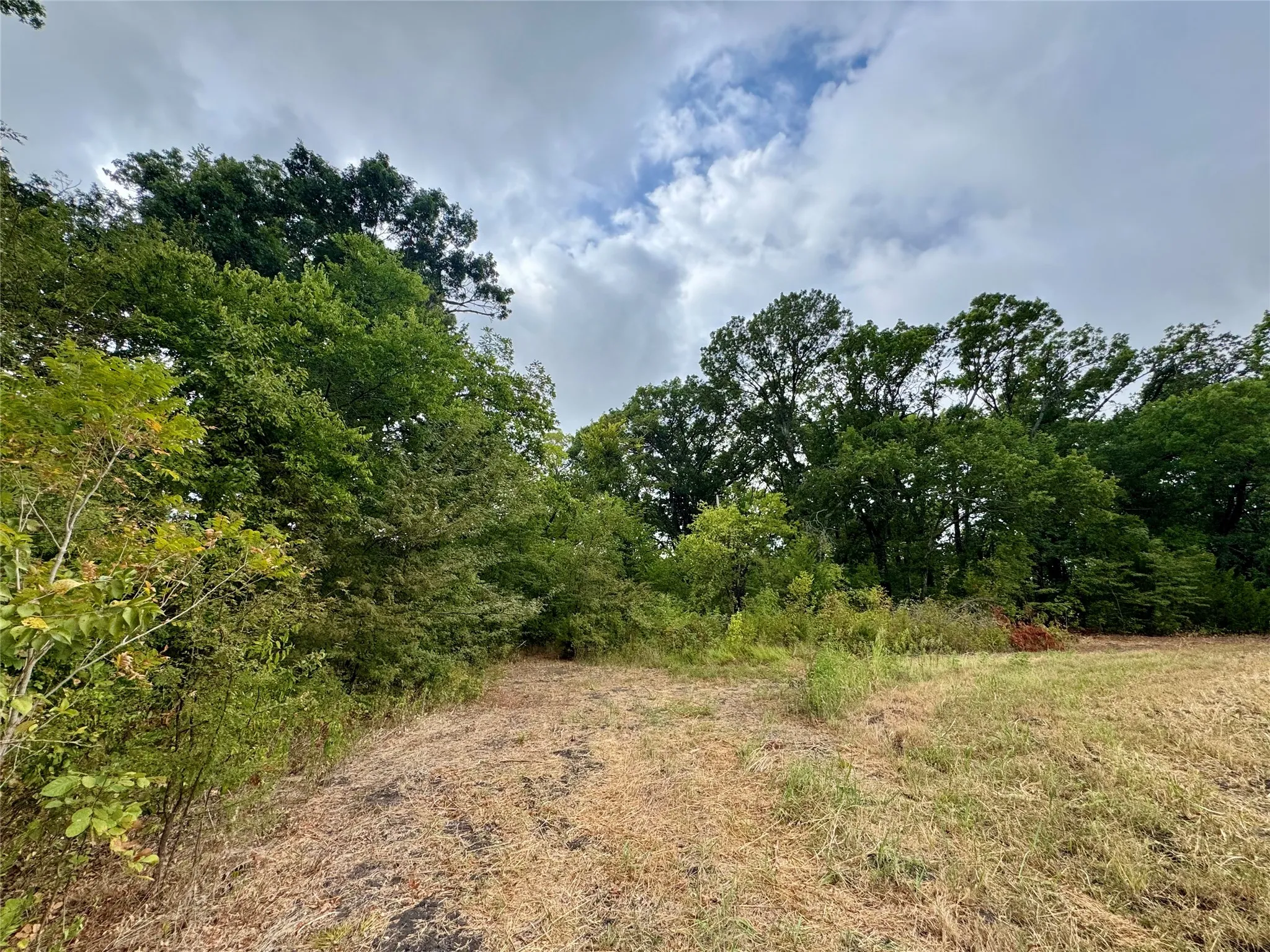 Photos taken at various locations in the neighborhood.
