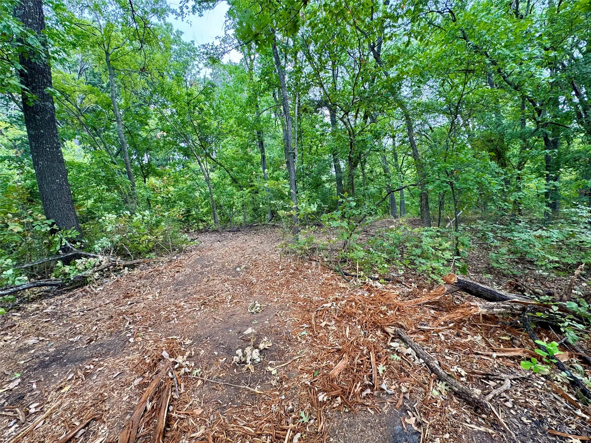 Photos taken at various locations in the neighborhood.
