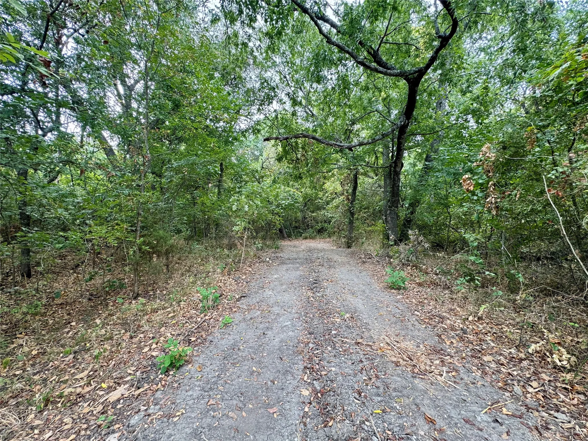 Photos taken at various locations in the neighborhood.
