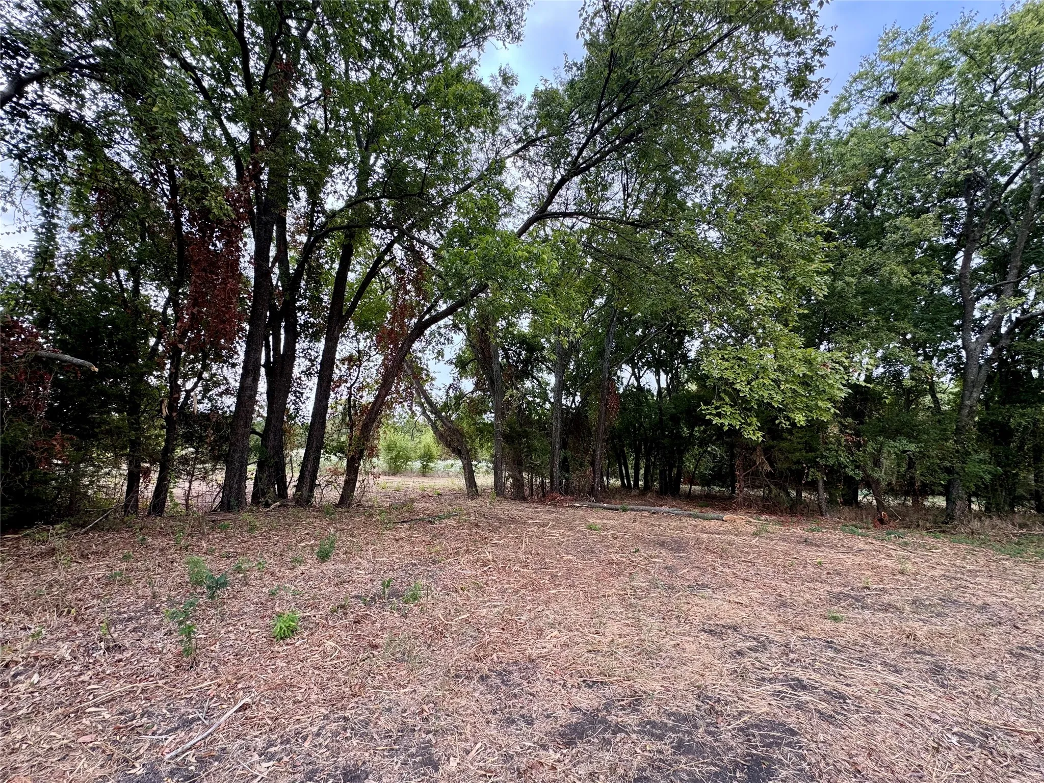 Photos taken at various locations in the neighborhood.
