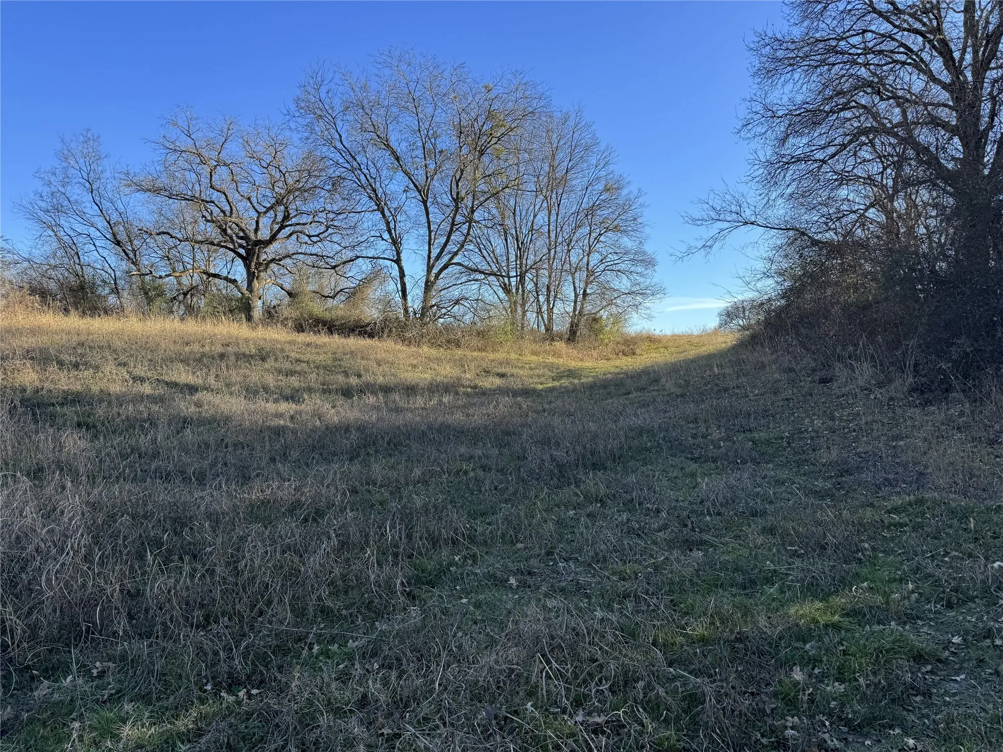 Unimproved Land For Sale in Kaufman County , TBD Co Rd 4026, Kemp, Texas 75143, 0, 0, Garage spaces, 0 Sqft, built in 0, mls#21367274, Real Estate Agent in Kemp, Homes For Sale in Kaufman county, Homes For Sale in Kemp, Realtor in Kemp Texas, Real Estate Brokerage Independent Realty Texas, Luminita Cordes Realtor