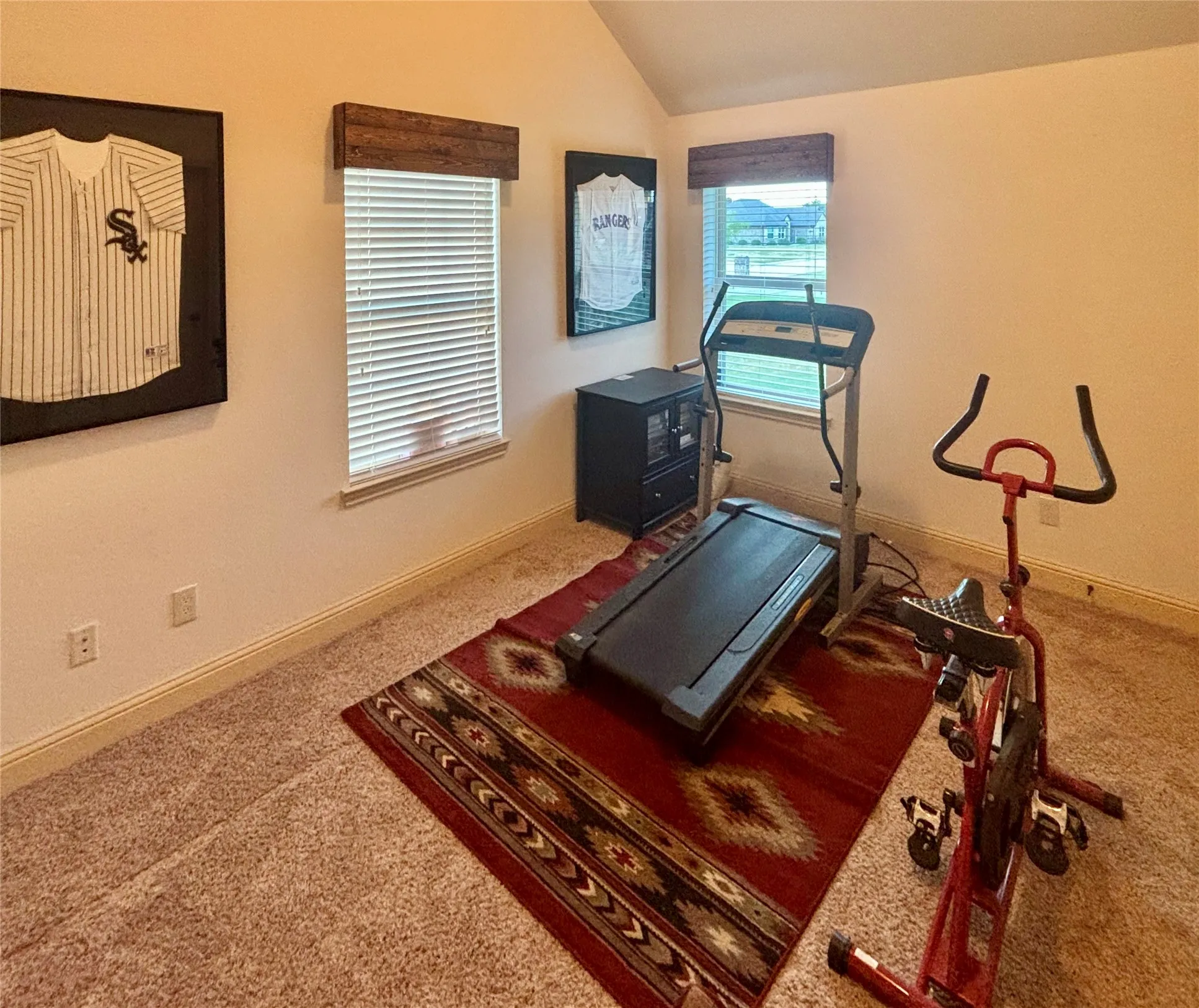 Carpeted room with vaulted ceiling and two windows featuring blinds and wood-finish valances