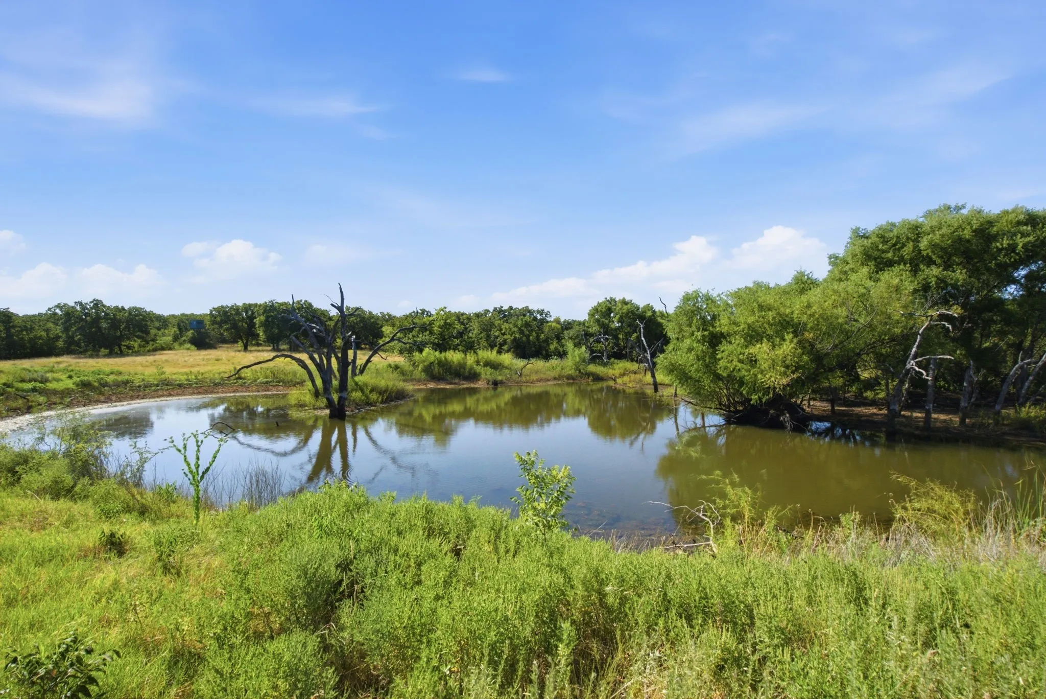 Farm For Sale in Young County , 1140A Garvey Ranch Road, Graham, Texas 76450, 3 Bedroom, 2 Bathroom, Garage spaces, 1,300 Sqft, built in 2012, mls#21370108, Real Estate Agent in Graham, Homes For Sale in Young county, Homes For Sale in Graham, Realtor in Graham Texas, Real Estate Brokerage Independent Realty Texas, Luminita Cordes Realtor