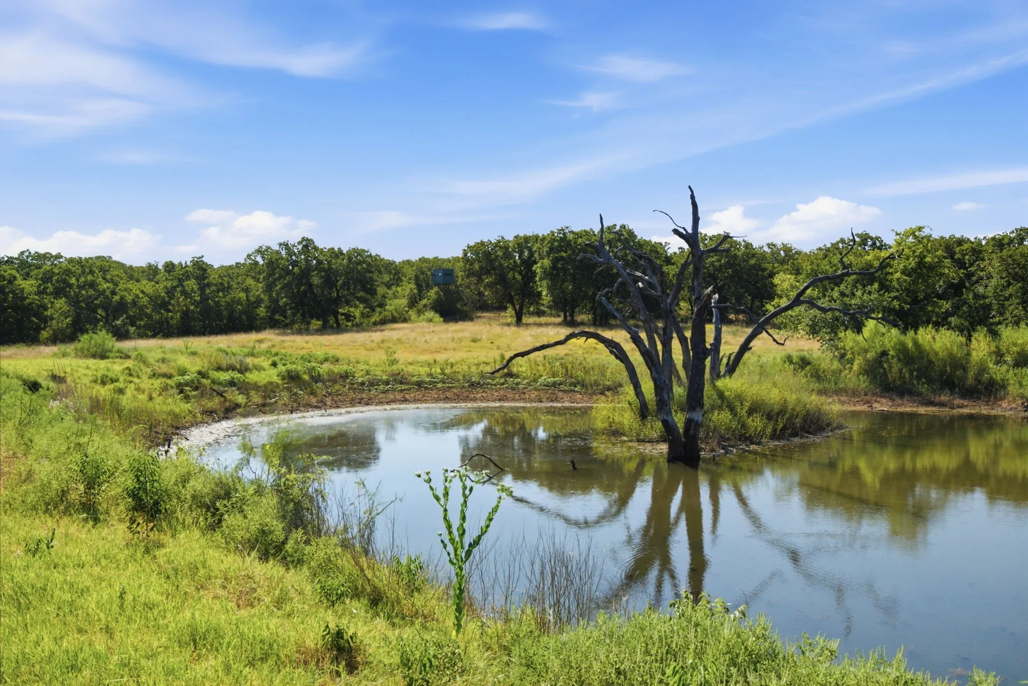 Farm For Sale in Young County , 1140A Garvey Ranch Road, Graham, Texas 76450, 3 Bedroom, 2 Bathroom, Garage spaces, 1,300 Sqft, built in 2012, mls#21370108, Real Estate Agent in Graham, Homes For Sale in Young county, Homes For Sale in Graham, Realtor in Graham Texas, Real Estate Brokerage Independent Realty Texas, Luminita Cordes Realtor