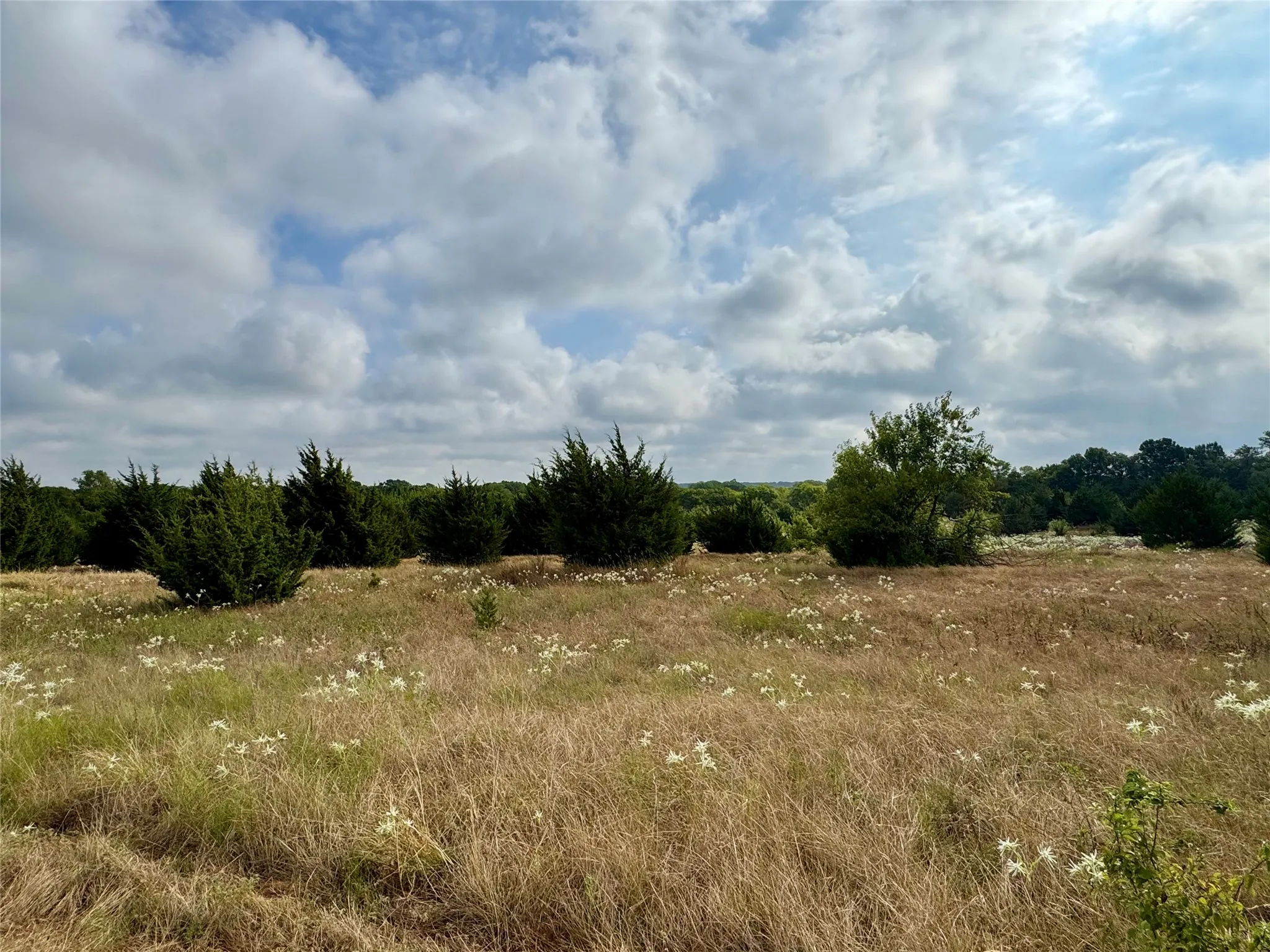 Photos taken from various locations in the neighborhood.