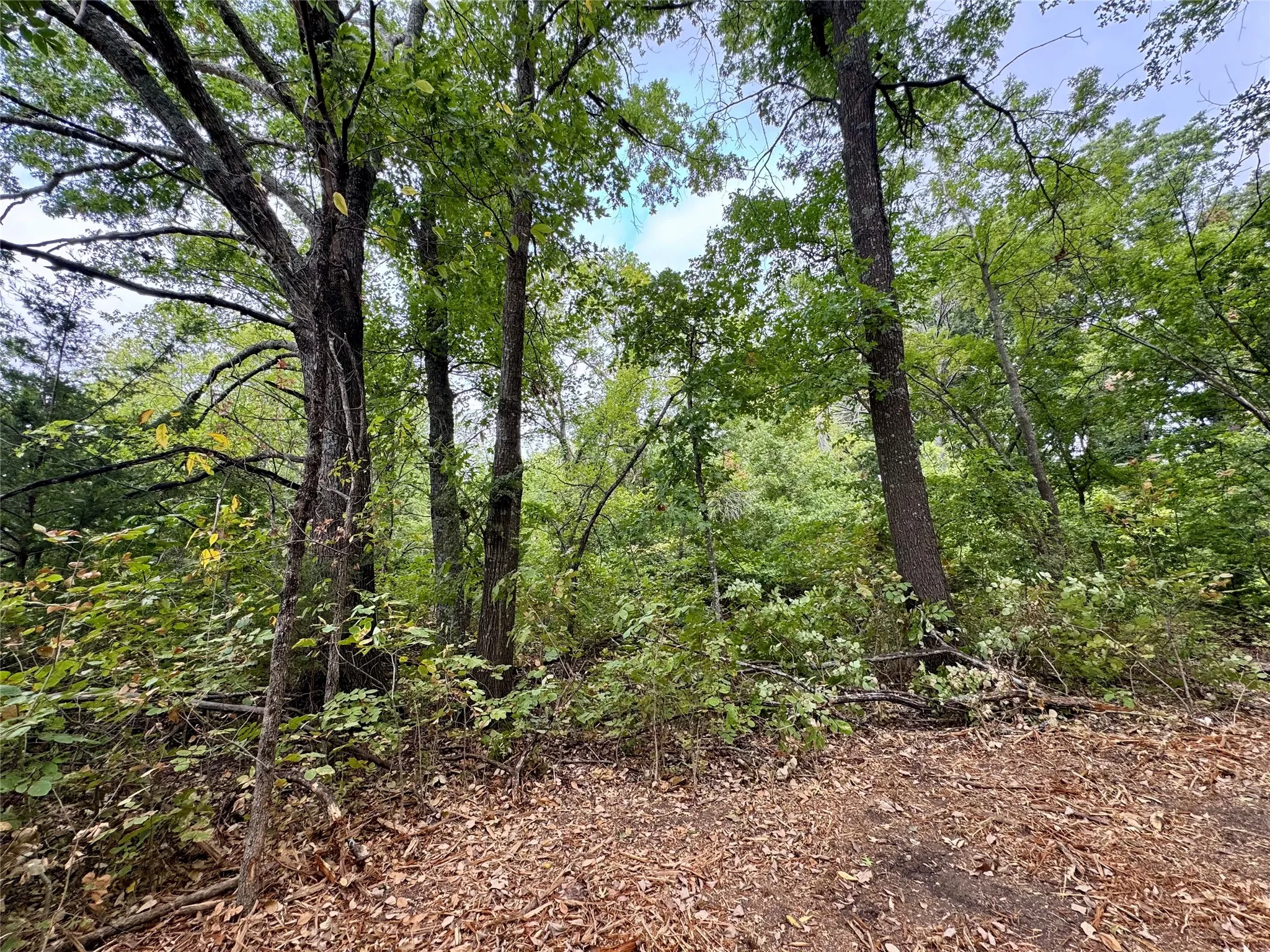 Photos taken from various locations in the neighborhood.