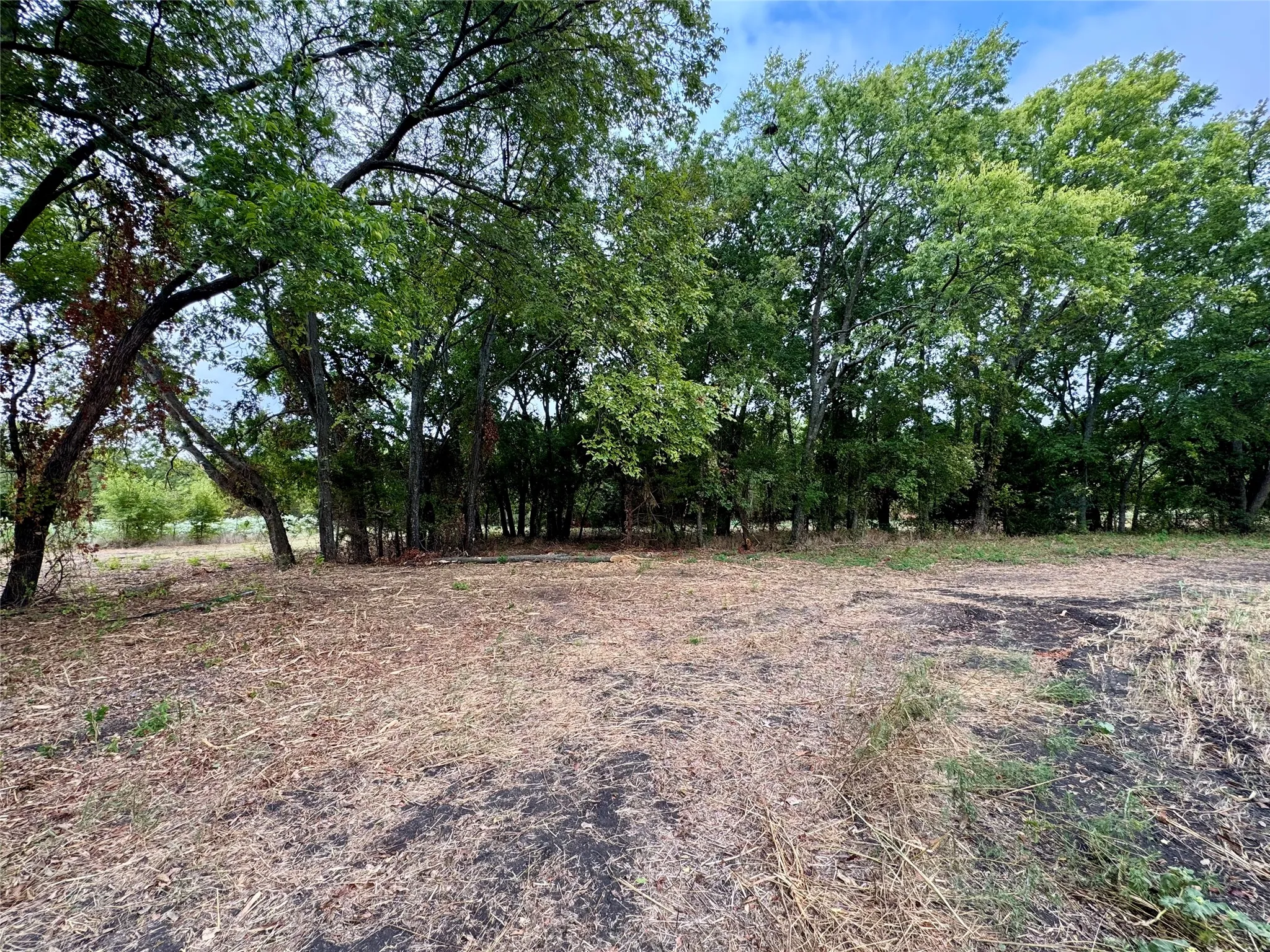 Photos taken from various locations in the neighborhood.