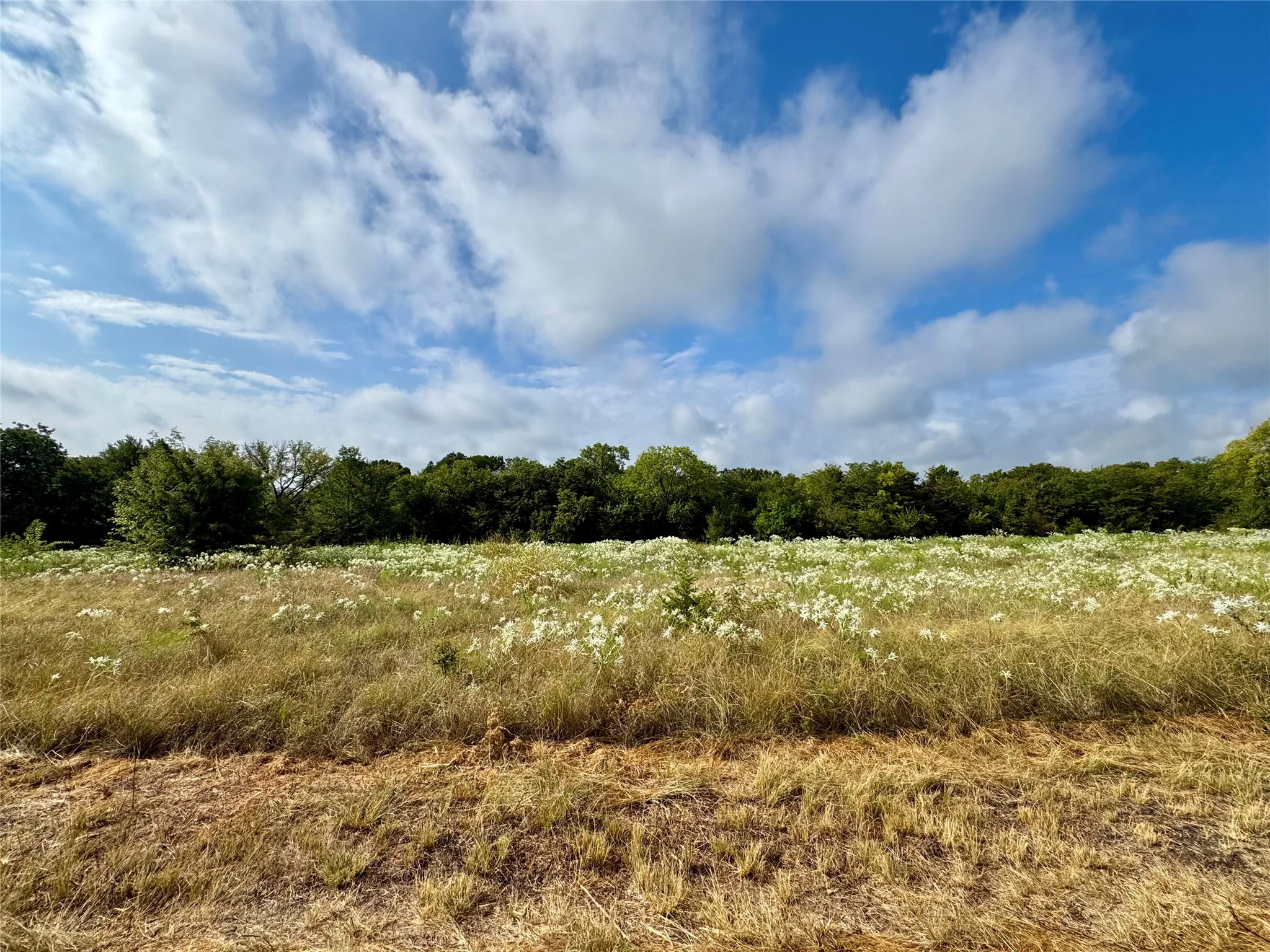 Photos taken from various locations in the neighborhood.