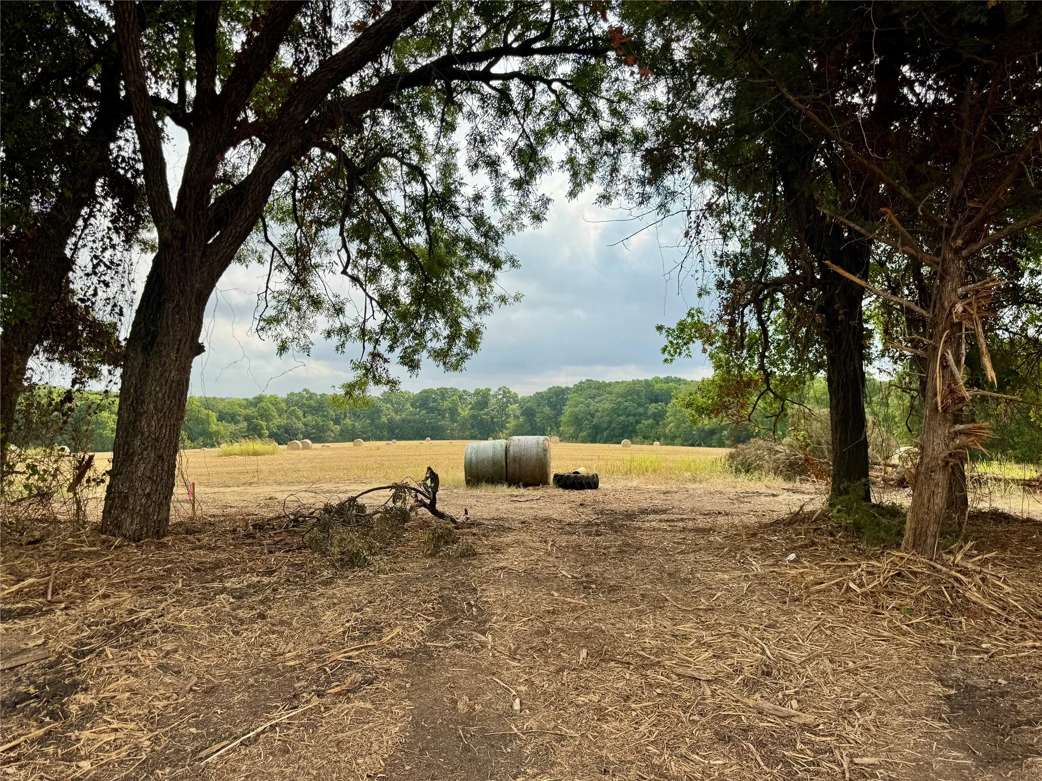 Photos taken from various locations in the neighborhood.