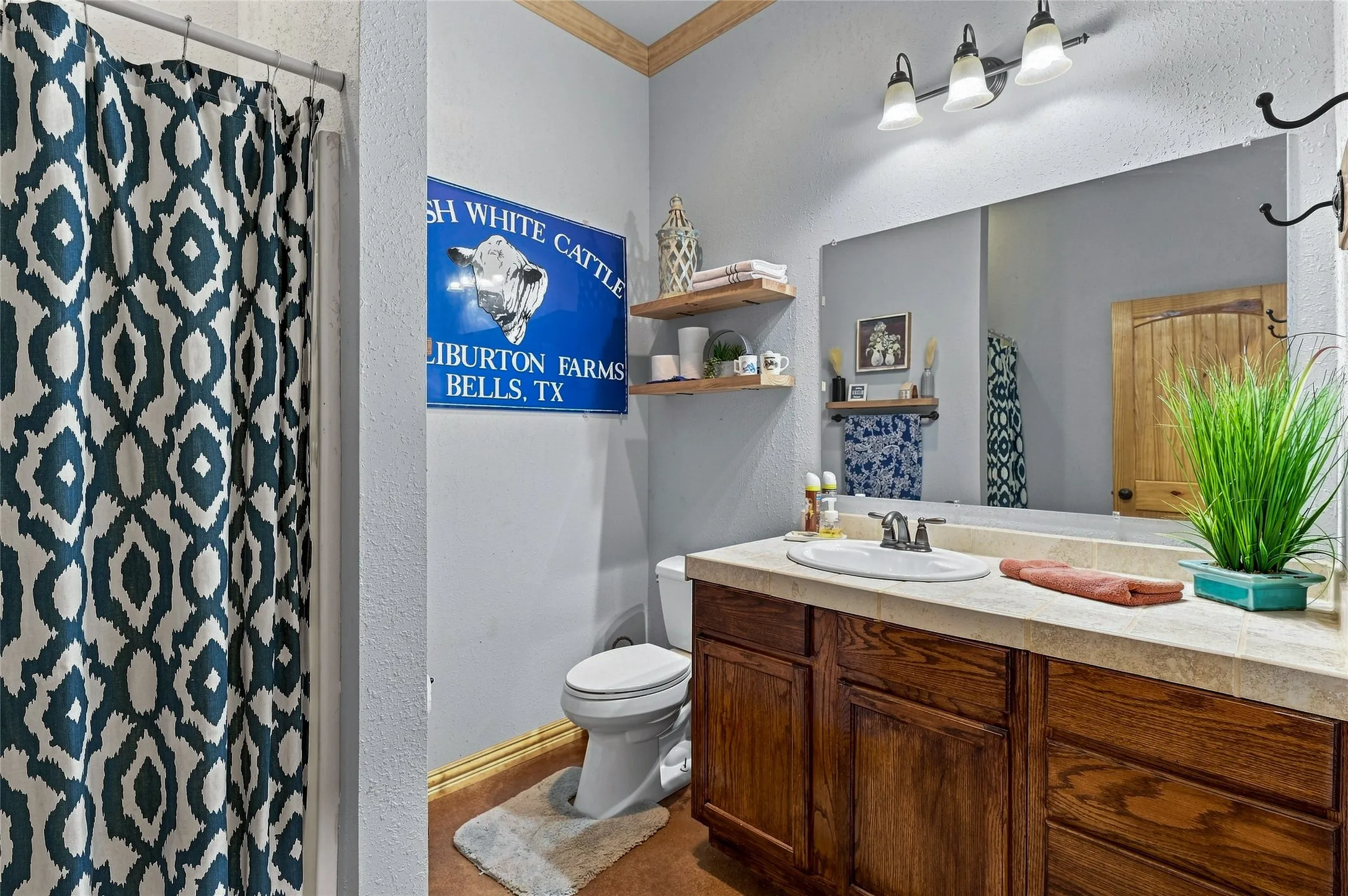 Single Family Residence For Sale in Grayson County , 45 Halliburton Drive, Bells, Texas 75414, 4 Bedroom, 3 Bathroom, 2 Garage spaces, 2,535 Sqft, built in 2014, mls#21365354, Real Estate Agent in Bells, Homes For Sale in Grayson county, Homes For Sale in Bells, Realtor in Bells Texas, Real Estate Brokerage Independent Realty Texas, Luminita Cordes Realtor