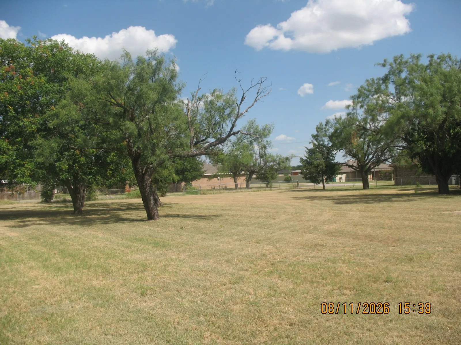 Expansive grassy area with mature trees