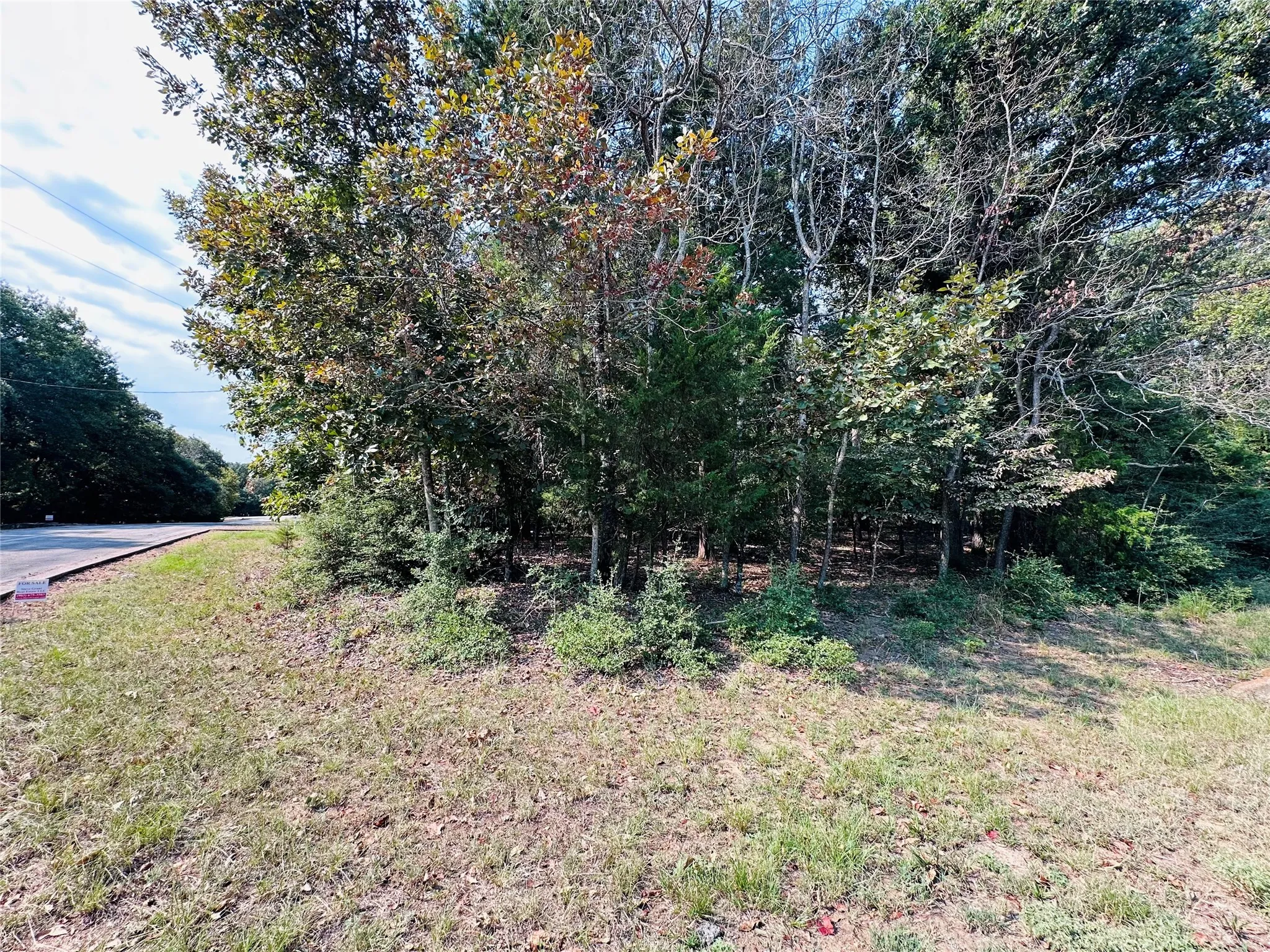 Unimproved Land For Sale in Henderson County , 36-40 Pedernales East, Athens, Texas 75752, 0, 0, Garage spaces, 0 Sqft, built in 0, mls#21370151, Real Estate Agent in Athens, Homes For Sale in Henderson county, Homes For Sale in Athens, Realtor in Athens Texas, Real Estate Brokerage Independent Realty Texas, Luminita Cordes Realtor
