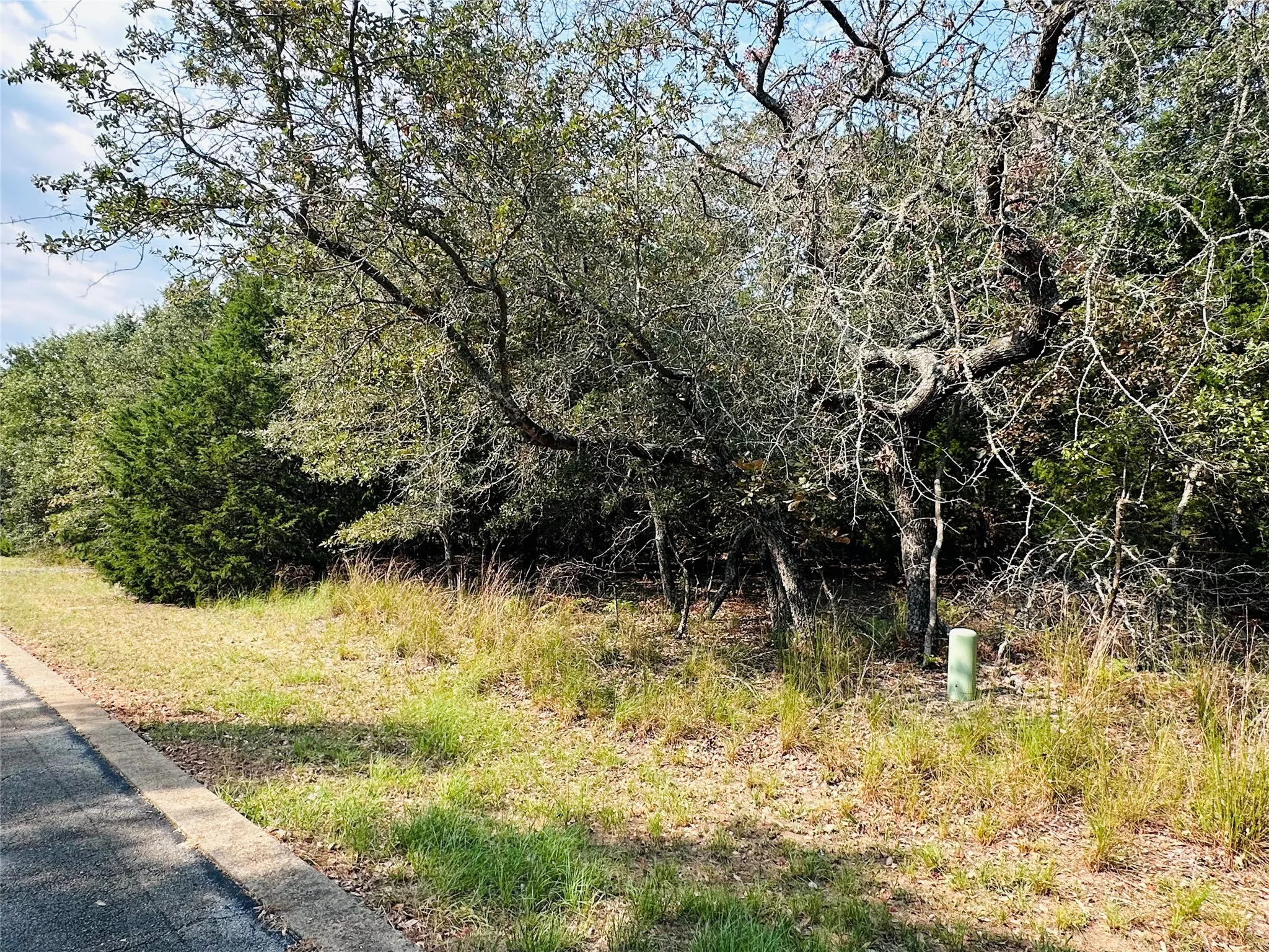 Unimproved Land For Sale in Henderson County , 36-40 Pedernales East, Athens, Texas 75752, 0, 0, Garage spaces, 0 Sqft, built in 0, mls#21370151, Real Estate Agent in Athens, Homes For Sale in Henderson county, Homes For Sale in Athens, Realtor in Athens Texas, Real Estate Brokerage Independent Realty Texas, Luminita Cordes Realtor
