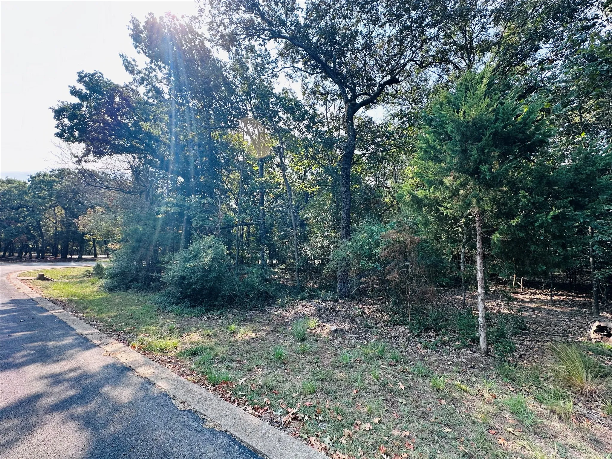 Unimproved Land For Sale in Henderson County , 36-40 Pedernales East, Athens, Texas 75752, 0, 0, Garage spaces, 0 Sqft, built in 0, mls#21370151, Real Estate Agent in Athens, Homes For Sale in Henderson county, Homes For Sale in Athens, Realtor in Athens Texas, Real Estate Brokerage Independent Realty Texas, Luminita Cordes Realtor