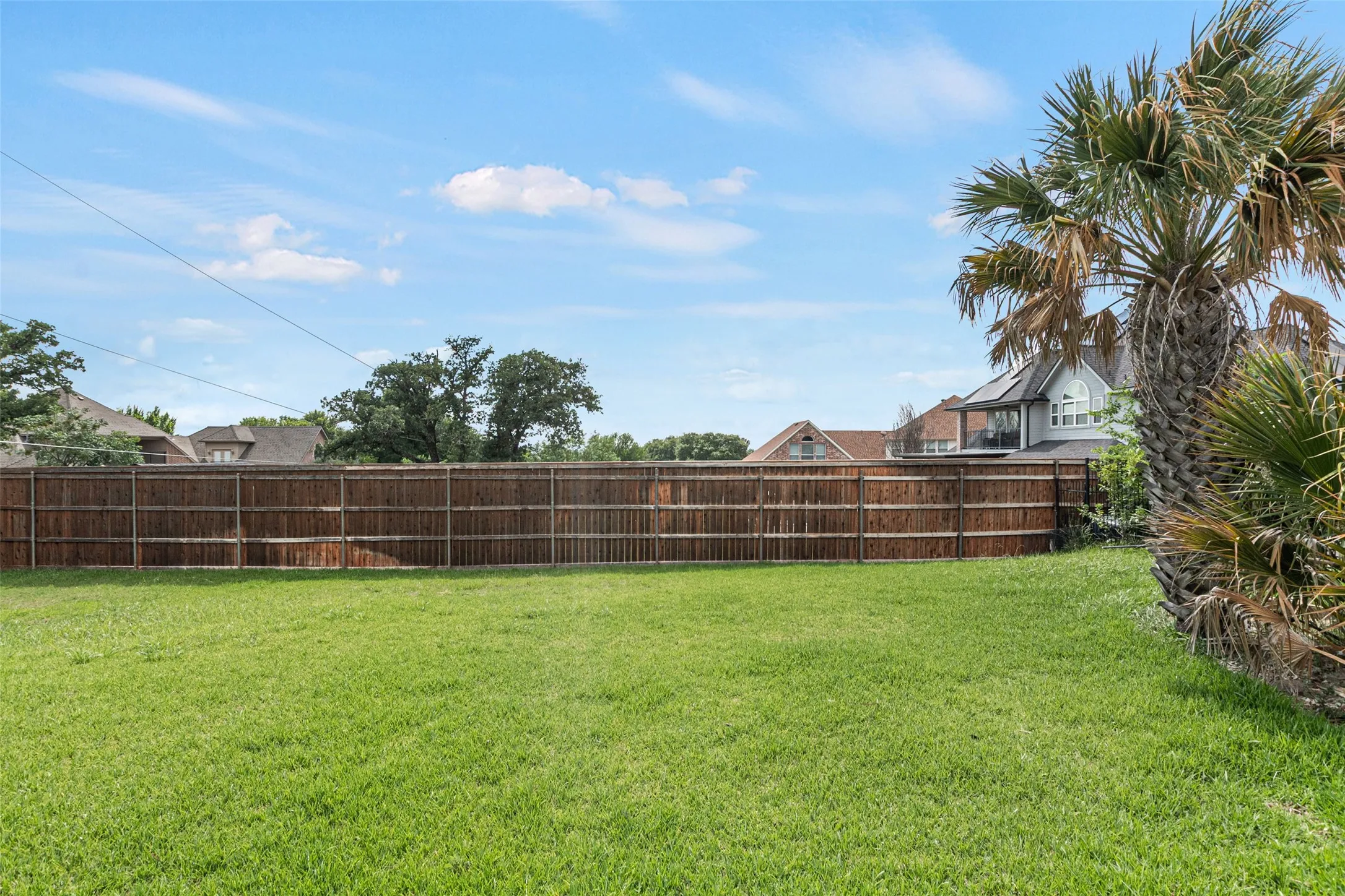 Expansive backyard featuring a manicured lawn, mature palm tree, and sturdy wood-finish privacy fencing