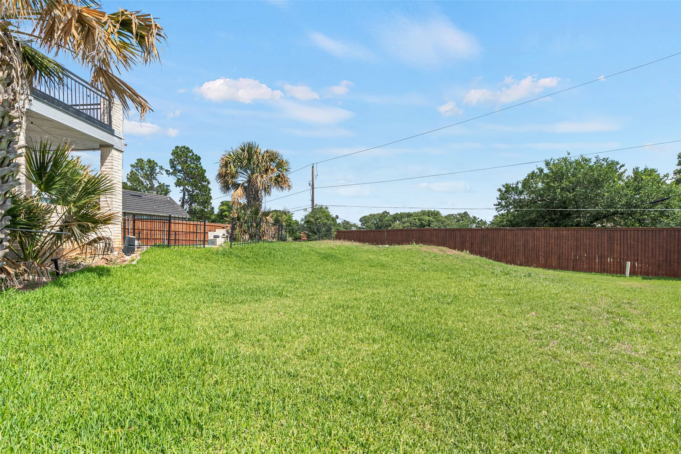Expansive manicured lawn with mature palm and shade trees, bordered by wood privacy fencing