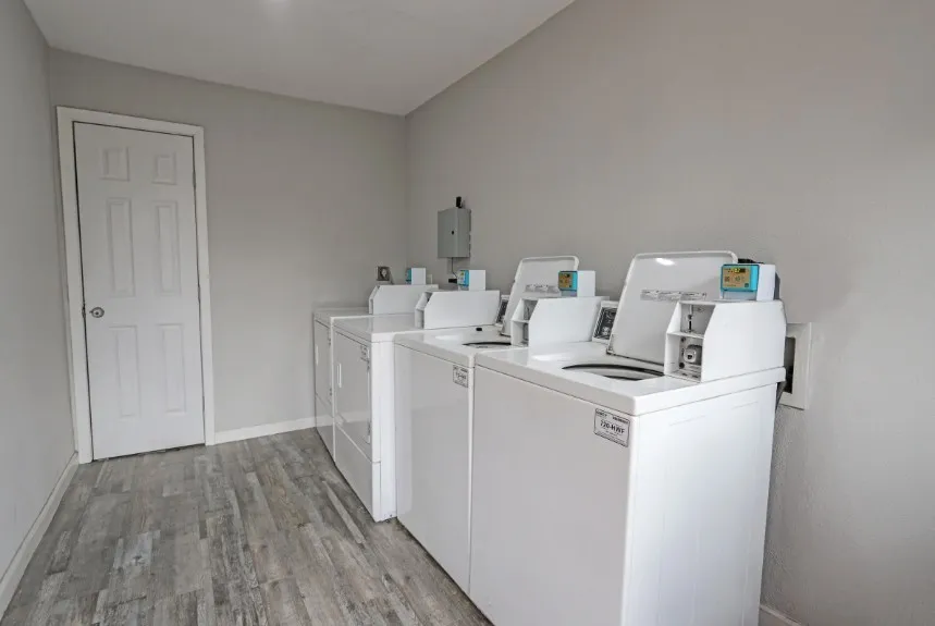 Laundry facility with multiple washing machines and wood-finish flooring