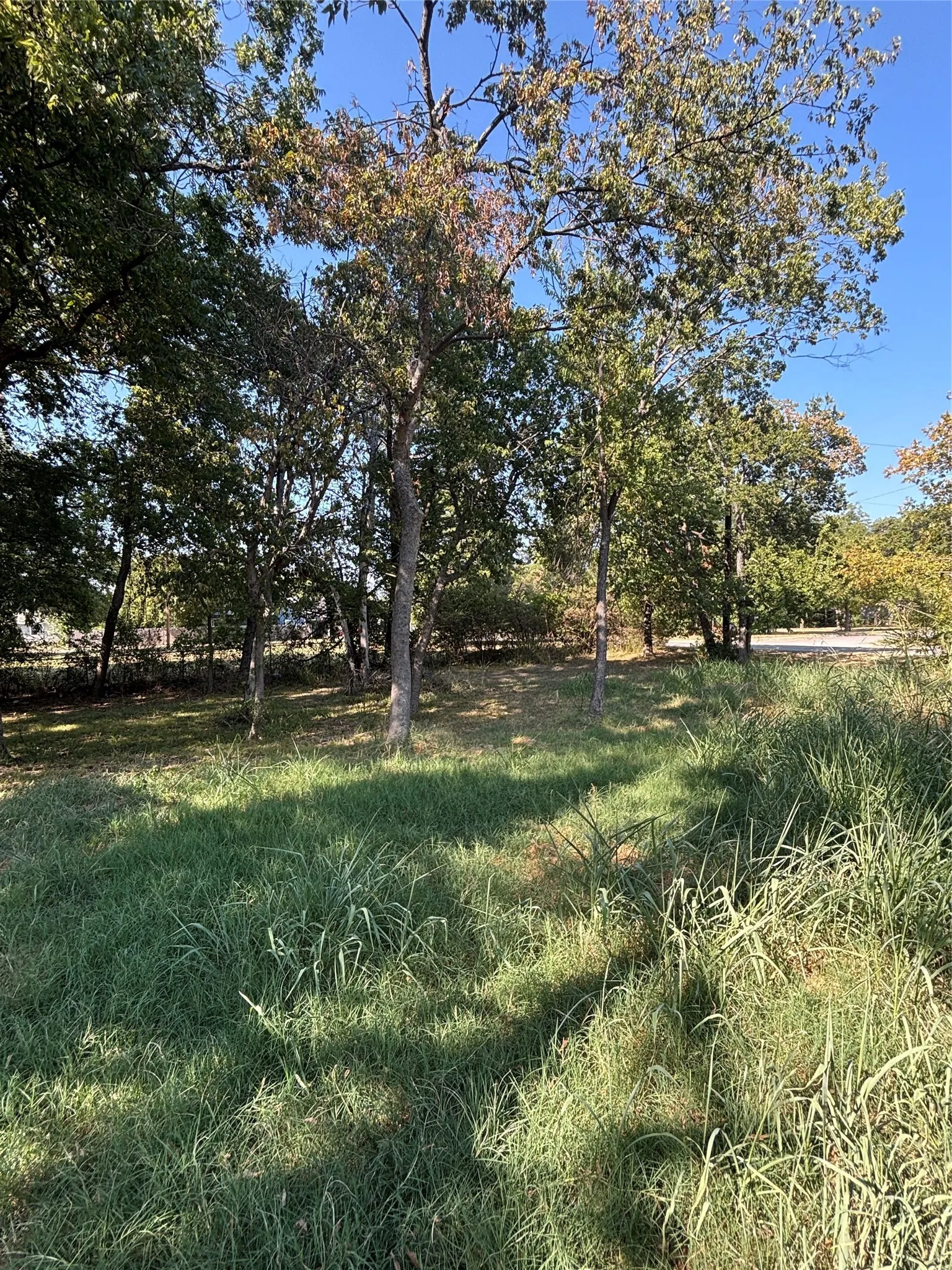 Unimproved Land For Sale in Cooke County , 823 Mill Street, Gainesville, Texas 76240, 0, 0, Garage spaces, 0 Sqft, built in 1912, mls#21370183, Real Estate Agent in Gainesville, Homes For Sale in Cooke county, Homes For Sale in Gainesville, Realtor in Gainesville Texas, Real Estate Brokerage Independent Realty Texas, Luminita Cordes Realtor