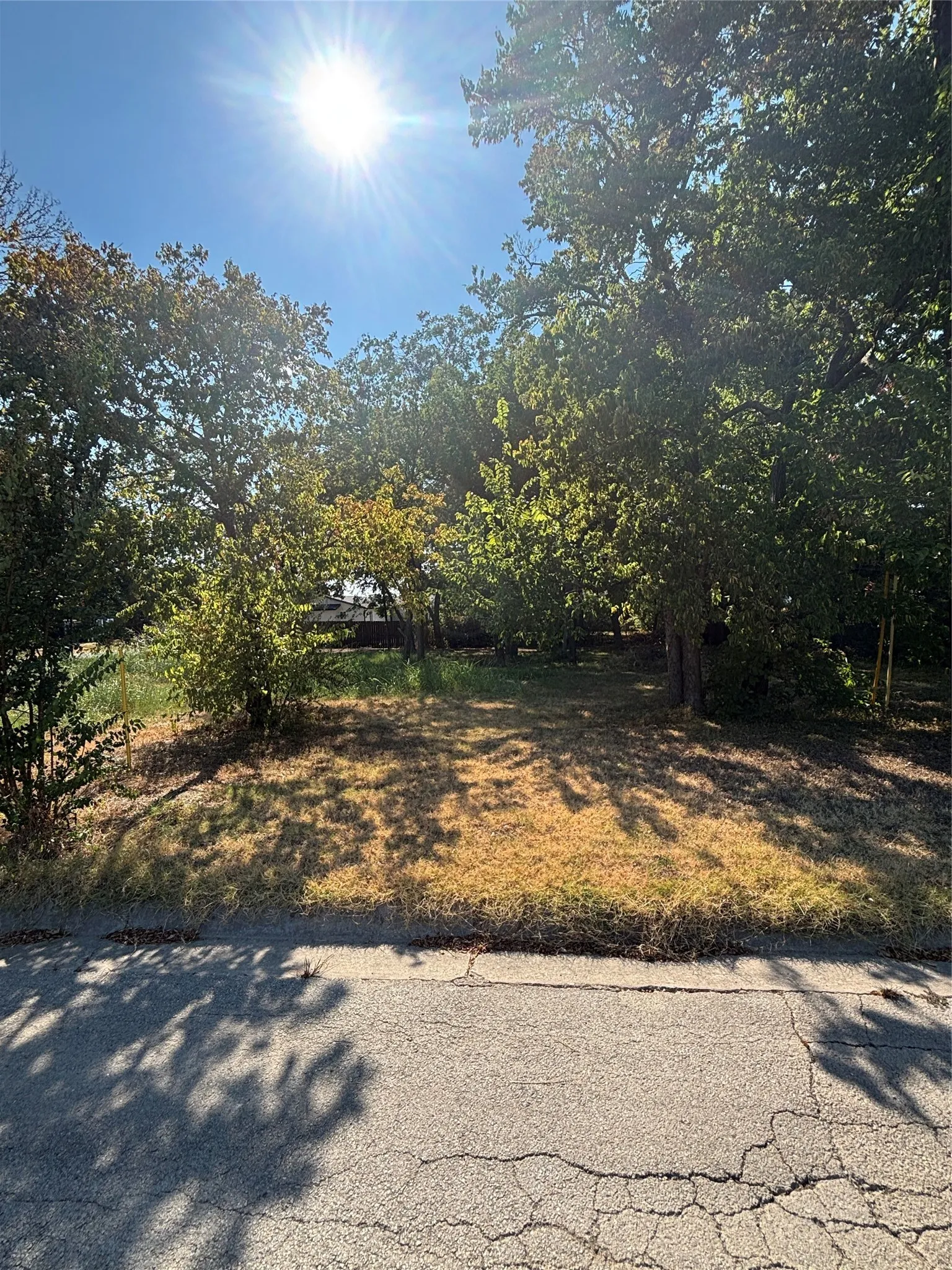 Unimproved Land For Sale in Cooke County , 823 Mill Street, Gainesville, Texas 76240, 0, 0, Garage spaces, 0 Sqft, built in 1912, mls#21370183, Real Estate Agent in Gainesville, Homes For Sale in Cooke county, Homes For Sale in Gainesville, Realtor in Gainesville Texas, Real Estate Brokerage Independent Realty Texas, Luminita Cordes Realtor