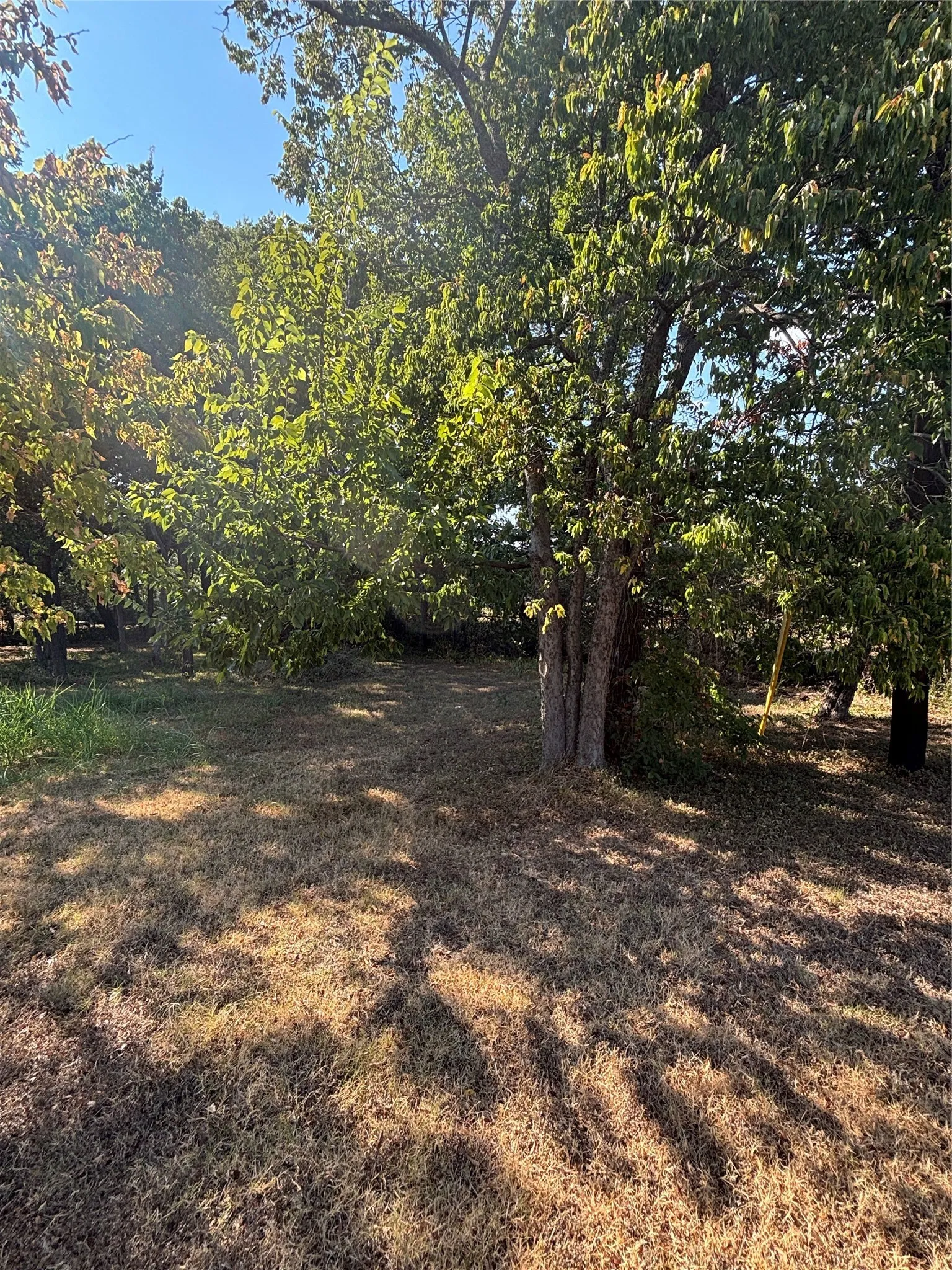 Unimproved Land For Sale in Cooke County , 823 Mill Street, Gainesville, Texas 76240, 0, 0, Garage spaces, 0 Sqft, built in 1912, mls#21370183, Real Estate Agent in Gainesville, Homes For Sale in Cooke county, Homes For Sale in Gainesville, Realtor in Gainesville Texas, Real Estate Brokerage Independent Realty Texas, Luminita Cordes Realtor