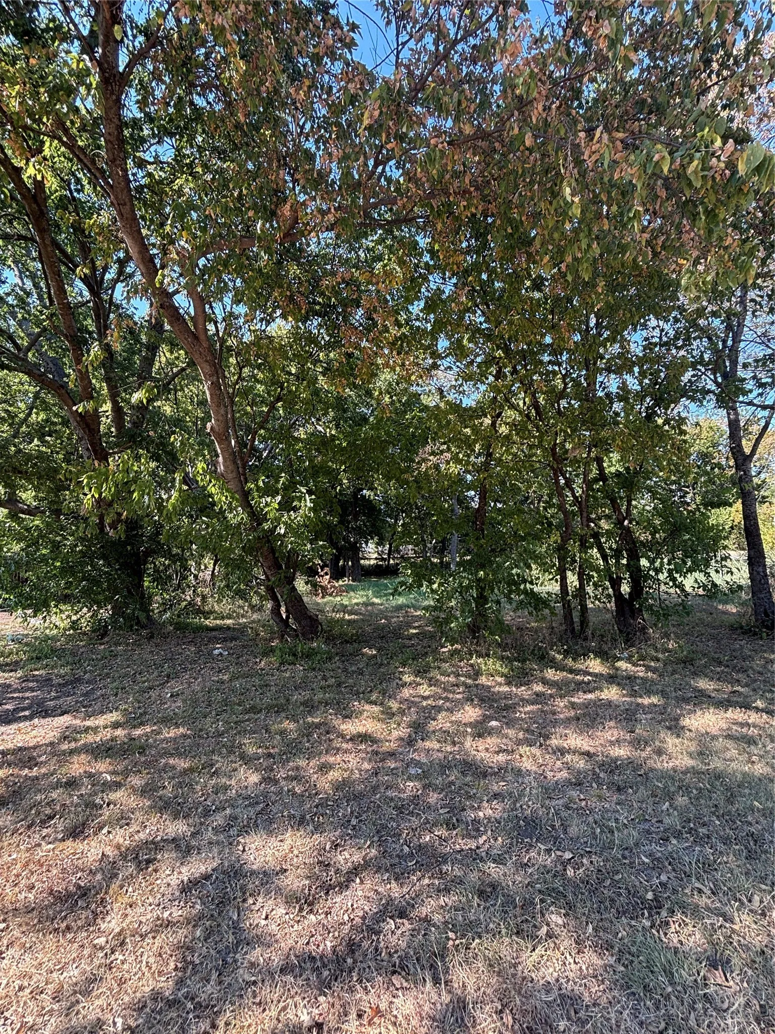 Unimproved Land For Sale in Cooke County , 823 Mill Street, Gainesville, Texas 76240, 0, 0, Garage spaces, 0 Sqft, built in 1912, mls#21370183, Real Estate Agent in Gainesville, Homes For Sale in Cooke county, Homes For Sale in Gainesville, Realtor in Gainesville Texas, Real Estate Brokerage Independent Realty Texas, Luminita Cordes Realtor