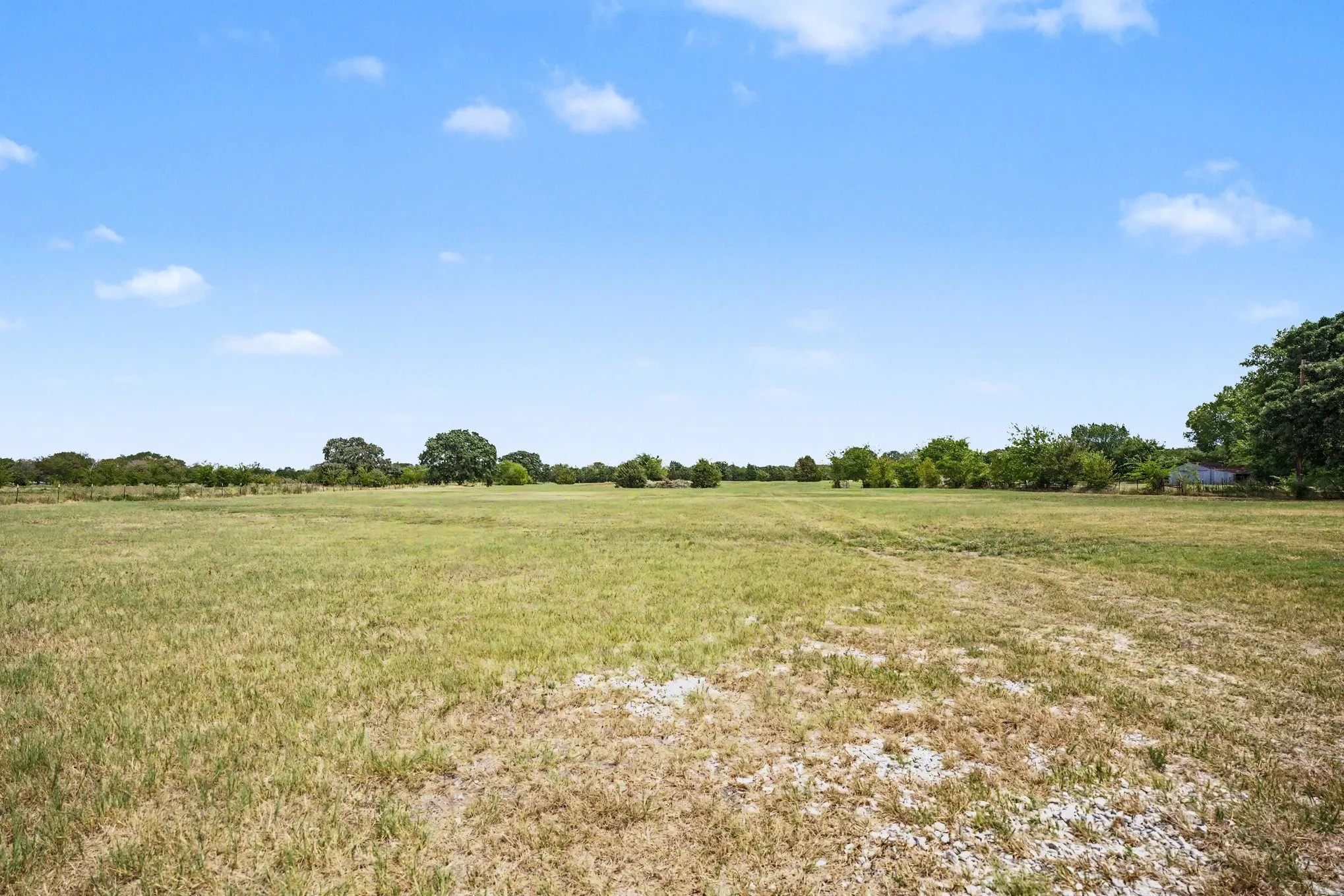 Unimproved Land For Sale in Kaufman County , 11684 CR 313, Terrell, Texas 75161, 0, 0, Garage spaces, 0 Sqft, built in 0, mls#21370205, Real Estate Agent in Terrell, Homes For Sale in Kaufman county, Homes For Sale in Terrell, Realtor in Terrell Texas, Real Estate Brokerage Independent Realty Texas, Luminita Cordes Realtor