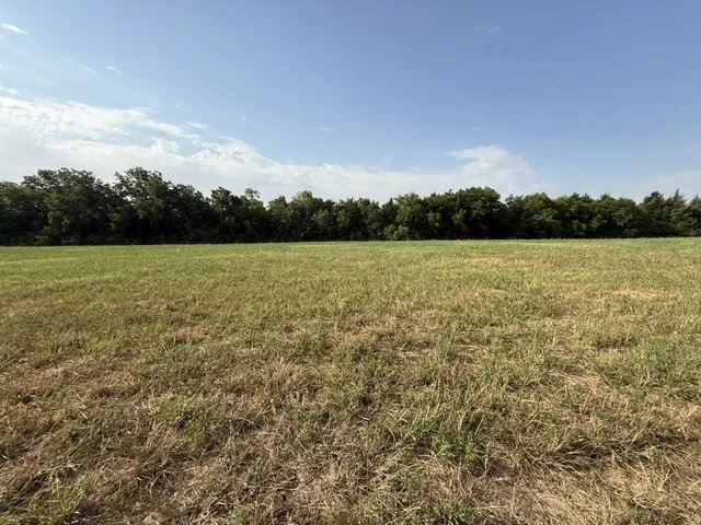 Improved Land For Sale in Dallas County , 3 St. James Alley, Sunnyvale, Texas 75182, 0, 0, Garage spaces, 0 Sqft, built in 0, mls#21369660, Real Estate Agent in Sunnyvale, Homes For Sale in Dallas county, Homes For Sale in Sunnyvale, Realtor in Sunnyvale Texas, Real Estate Brokerage Independent Realty Texas, Luminita Cordes Realtor