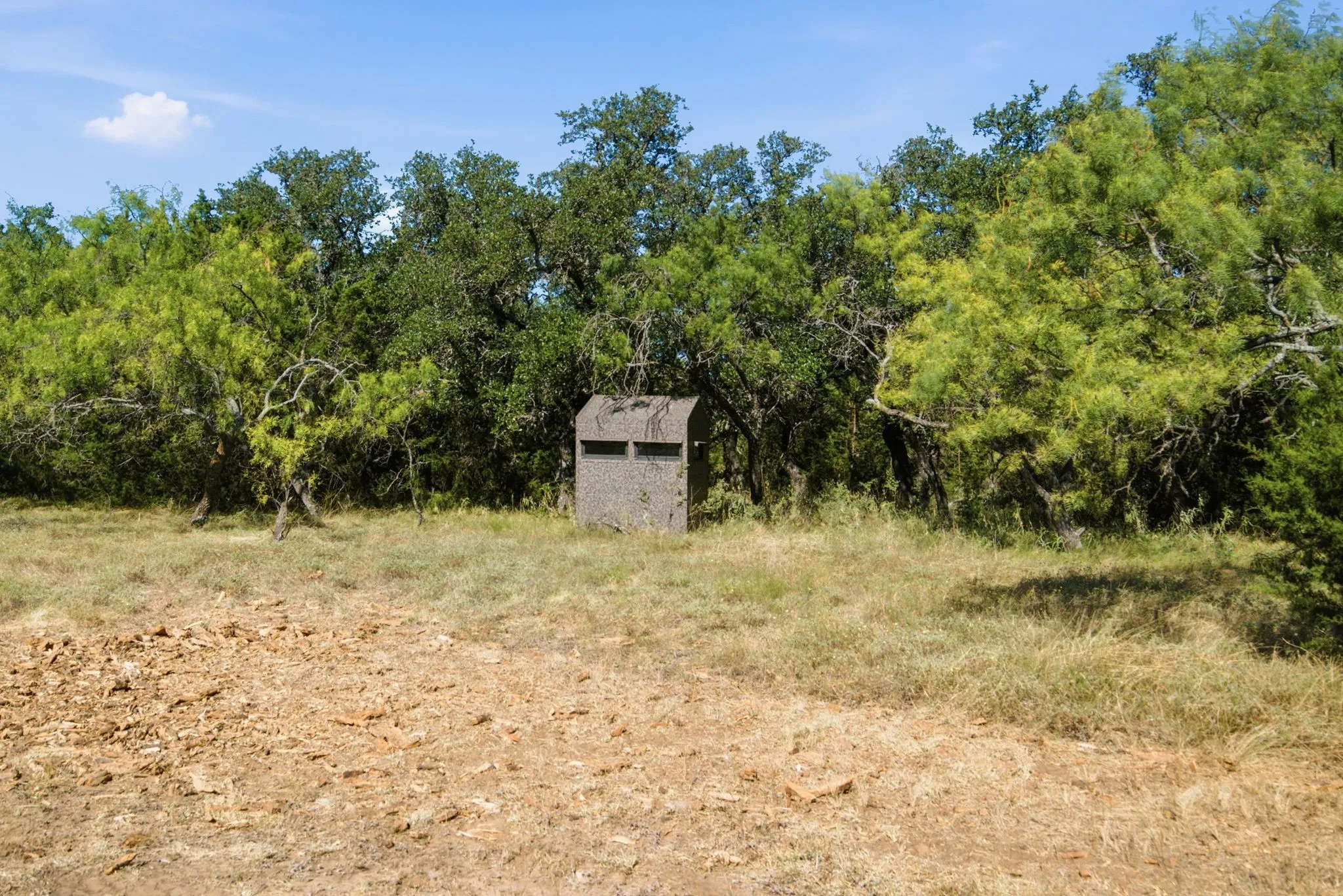 Ranch For Sale in Comanche County , 3100 County Road 153, Blanket, Texas 76432, 0, 0, Garage spaces, 0 Sqft, built in 0, mls#21370211, Real Estate Agent in Blanket, Homes For Sale in Comanche county, Homes For Sale in Blanket, Realtor in Blanket Texas, Real Estate Brokerage Independent Realty Texas, Luminita Cordes Realtor