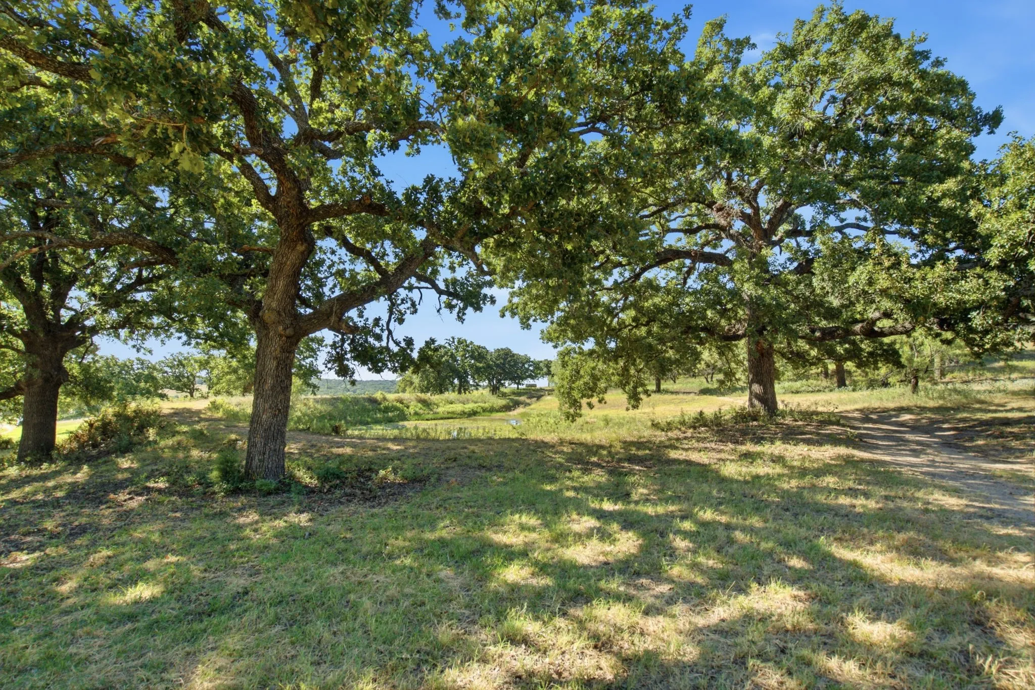 Ranch For Sale in Comanche County , 3100 County Road 153, Blanket, Texas 76432, 0, 0, Garage spaces, 0 Sqft, built in 0, mls#21370211, Real Estate Agent in Blanket, Homes For Sale in Comanche county, Homes For Sale in Blanket, Realtor in Blanket Texas, Real Estate Brokerage Independent Realty Texas, Luminita Cordes Realtor