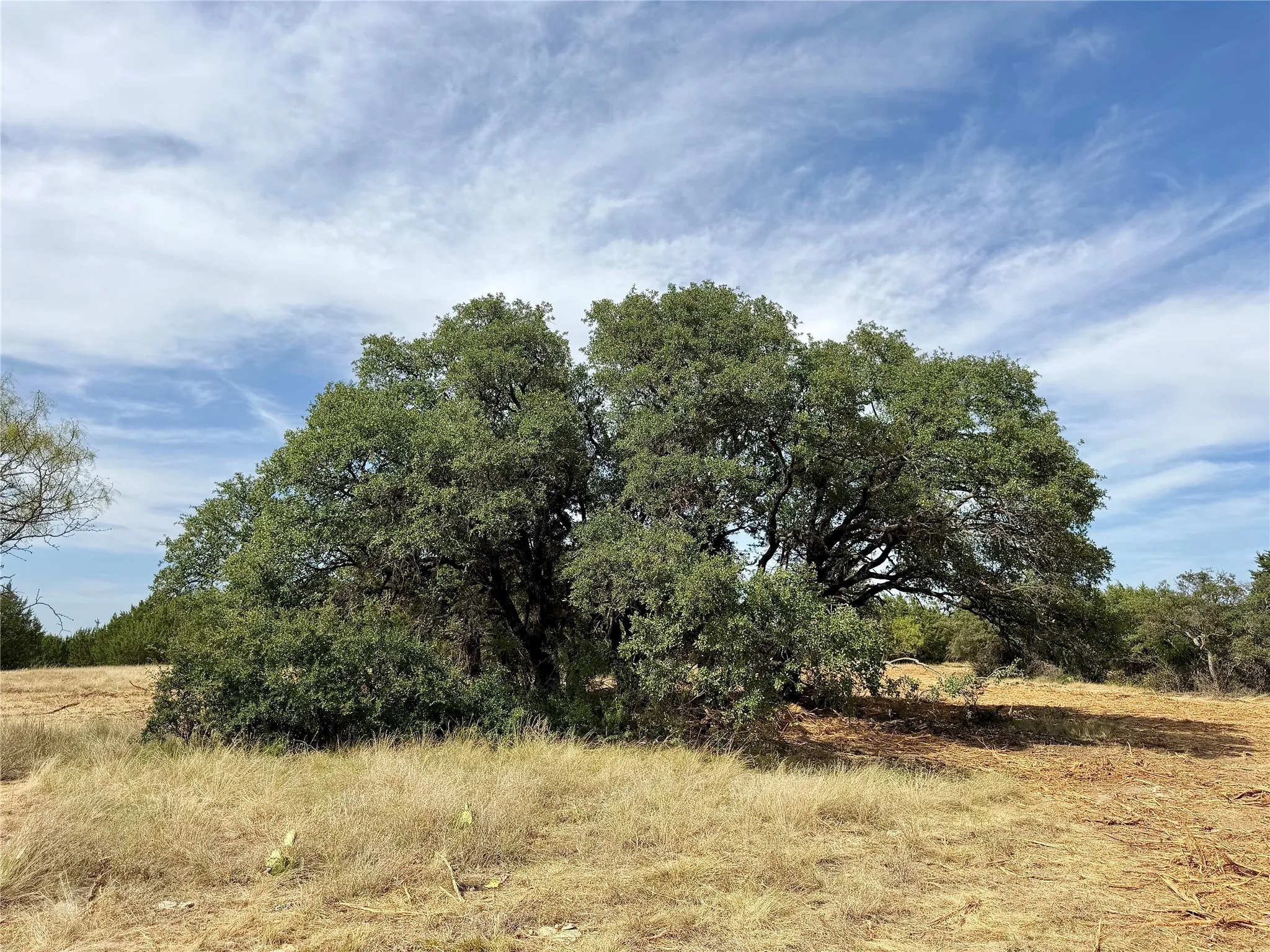 Ranch For Sale in Comanche County , 3100 County Road 153, Blanket, Texas 76432, 0, 0, Garage spaces, 0 Sqft, built in 0, mls#21370211, Real Estate Agent in Blanket, Homes For Sale in Comanche county, Homes For Sale in Blanket, Realtor in Blanket Texas, Real Estate Brokerage Independent Realty Texas, Luminita Cordes Realtor