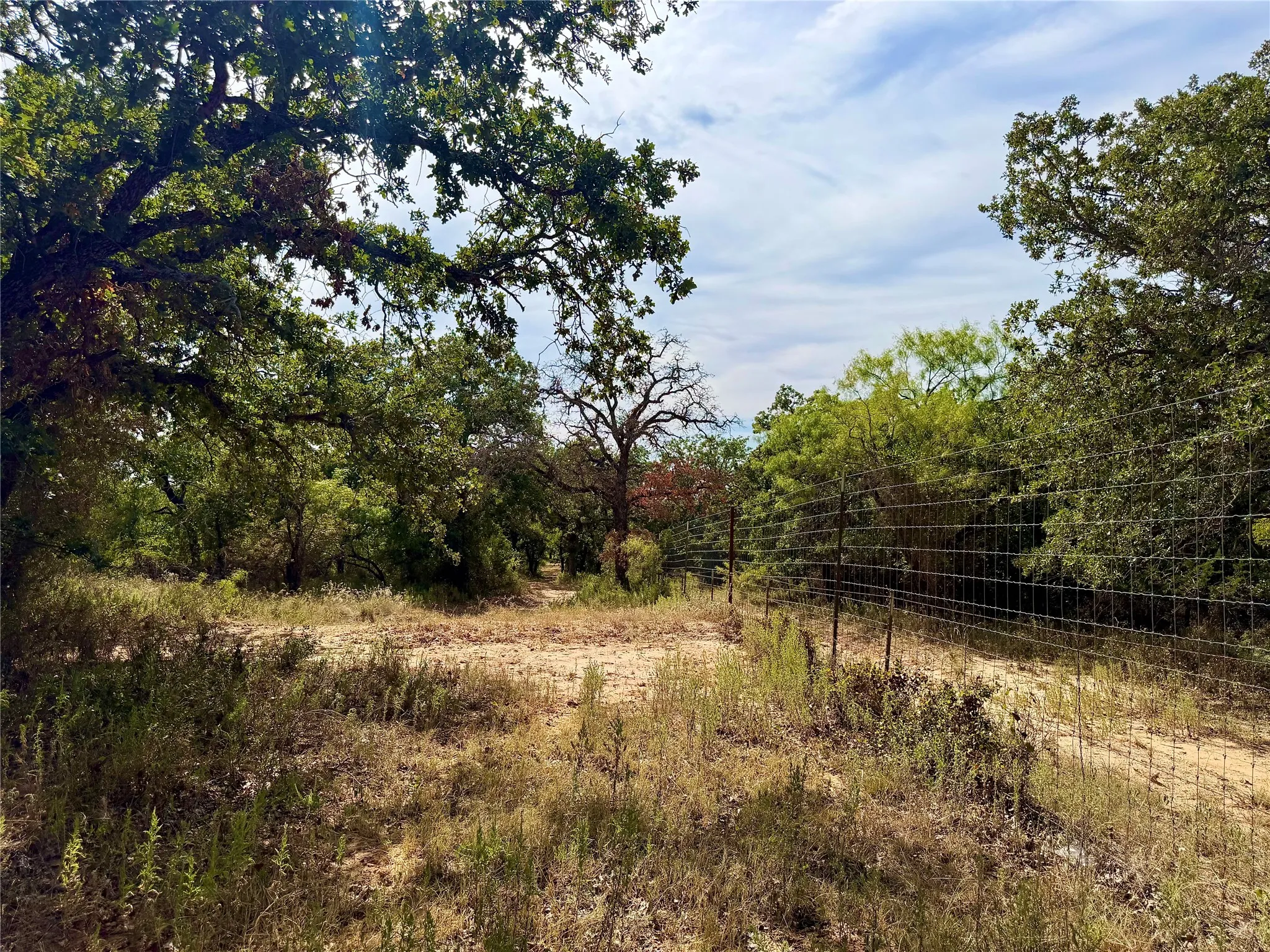 Ranch For Sale in Comanche County , 3100 County Road 153, Blanket, Texas 76432, 0, 0, Garage spaces, 0 Sqft, built in 0, mls#21370211, Real Estate Agent in Blanket, Homes For Sale in Comanche county, Homes For Sale in Blanket, Realtor in Blanket Texas, Real Estate Brokerage Independent Realty Texas, Luminita Cordes Realtor