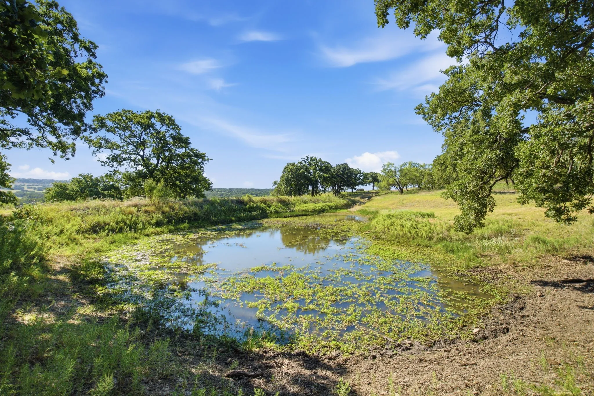 Ranch For Sale in Comanche County , 3100 County Road 153, Blanket, Texas 76432, 0, 0, Garage spaces, 0 Sqft, built in 0, mls#21370211, Real Estate Agent in Blanket, Homes For Sale in Comanche county, Homes For Sale in Blanket, Realtor in Blanket Texas, Real Estate Brokerage Independent Realty Texas, Luminita Cordes Realtor
