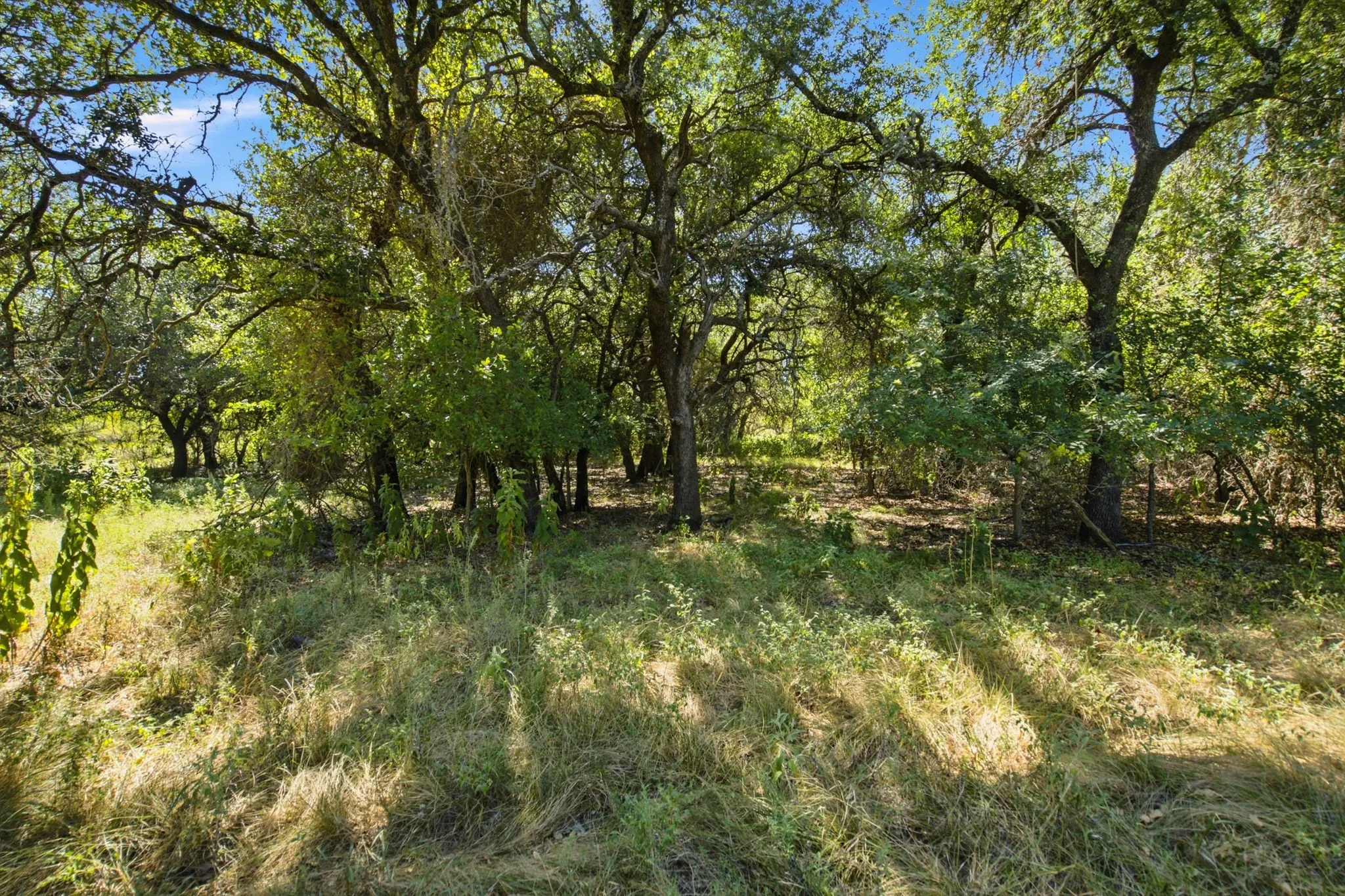 Ranch For Sale in Comanche County , 3100 County Road 153, Blanket, Texas 76432, 0, 0, Garage spaces, 0 Sqft, built in 0, mls#21370211, Real Estate Agent in Blanket, Homes For Sale in Comanche county, Homes For Sale in Blanket, Realtor in Blanket Texas, Real Estate Brokerage Independent Realty Texas, Luminita Cordes Realtor