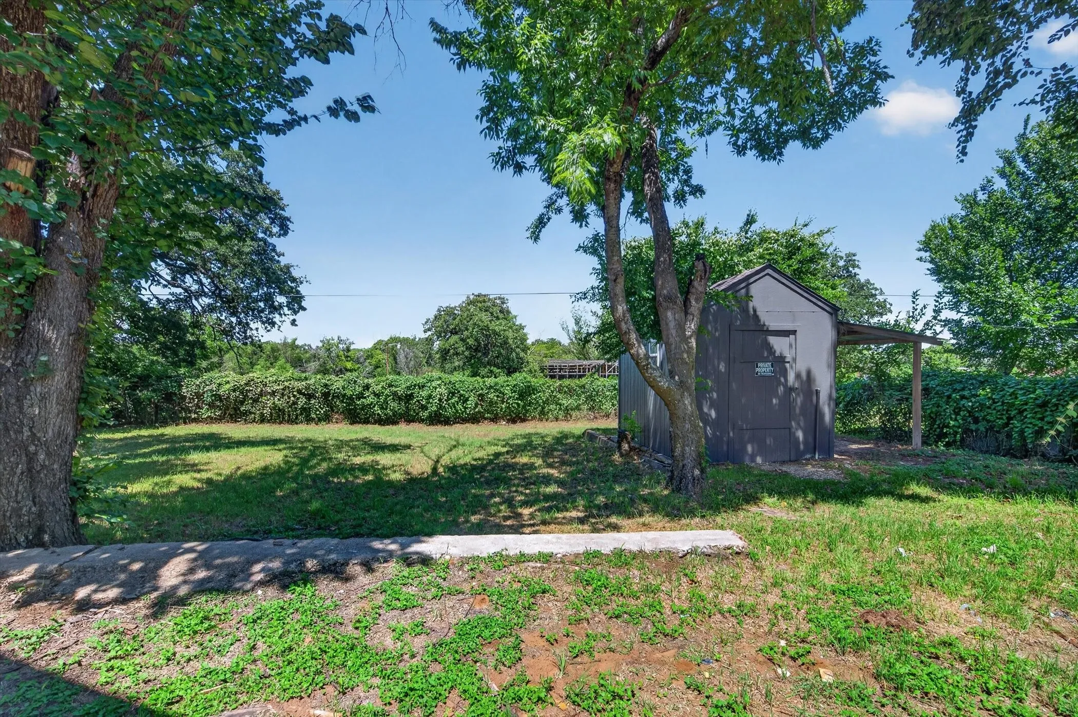 Expansive outdoor space featuring mature trees, a detached storage shed with an attached covered area, and a grassy lawn bordered by lush greenery