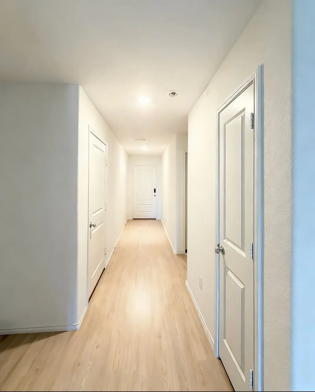 Light wood-finish flooring extending through a brightly lit hallway