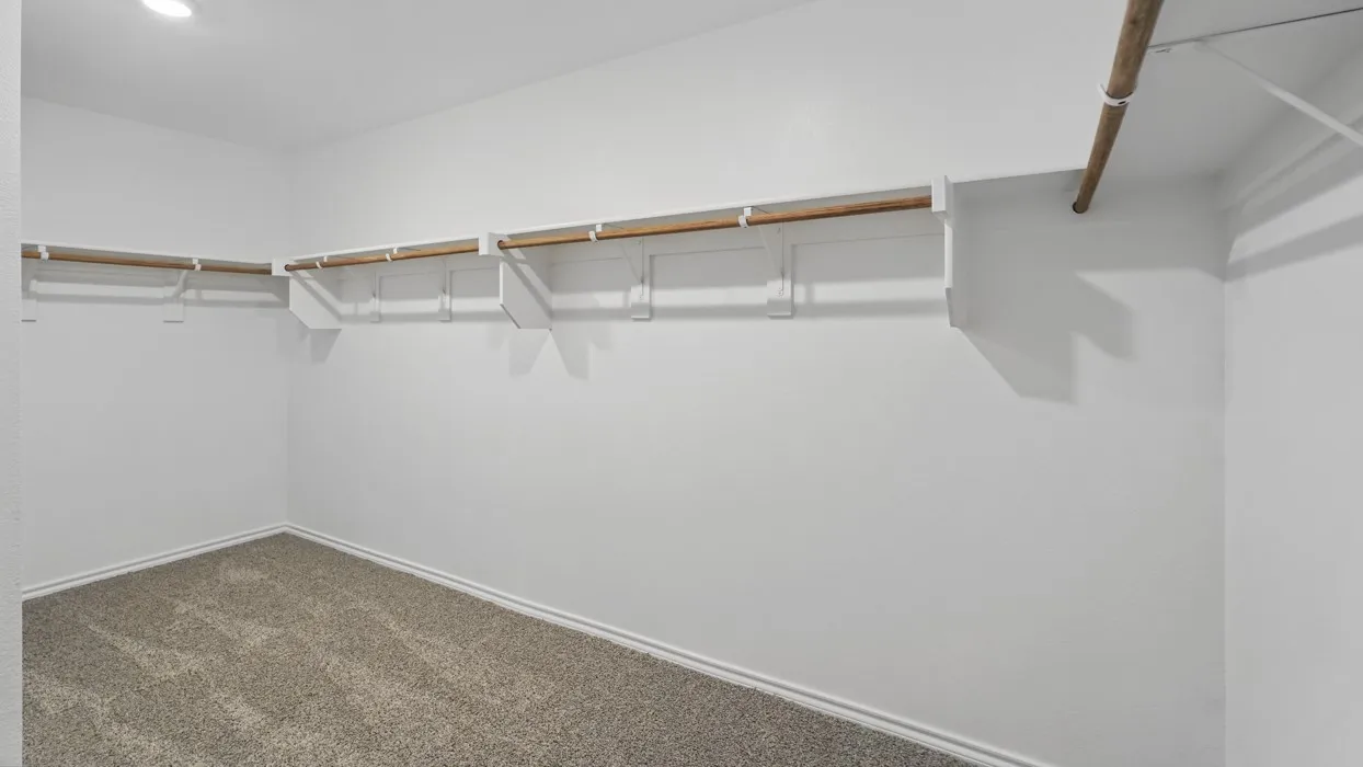 Walk-in closet featuring carpet flooring, built-in shelving, and hanging rods