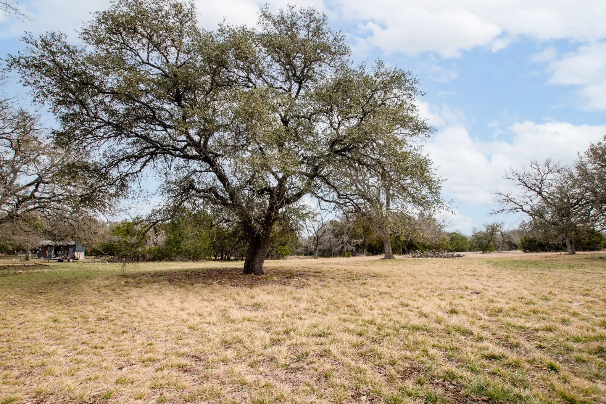 Expansive grounds featuring mature trees and open fields