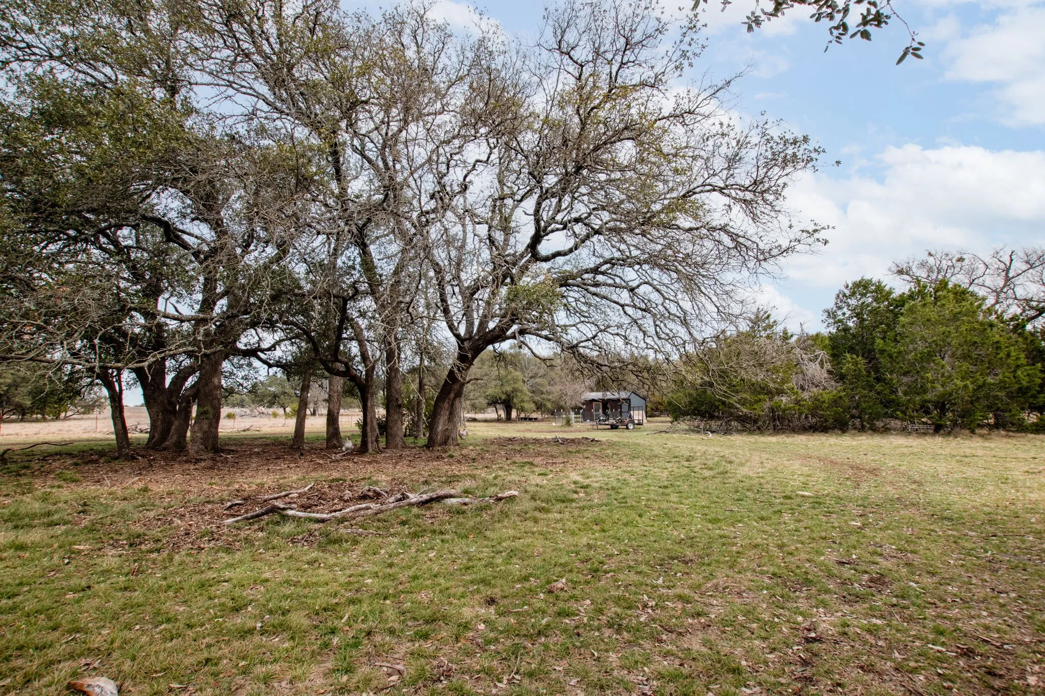 Expansive grounds featuring mature oak trees with sprawling canopy coverage and open lawn space